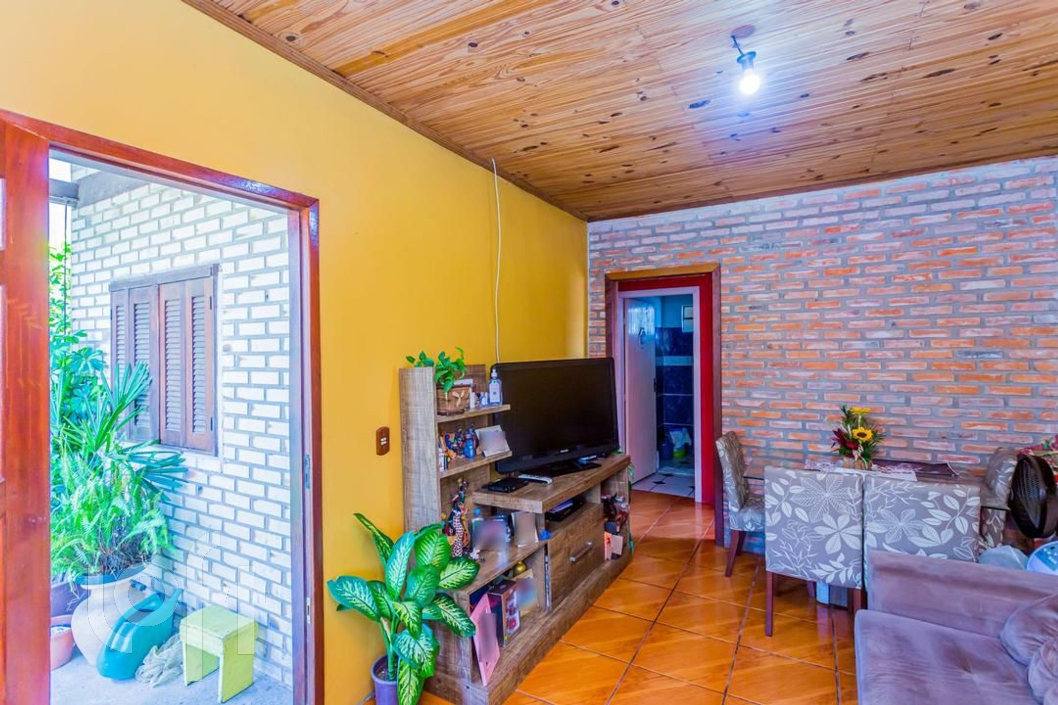 Imagem da propriedade 6