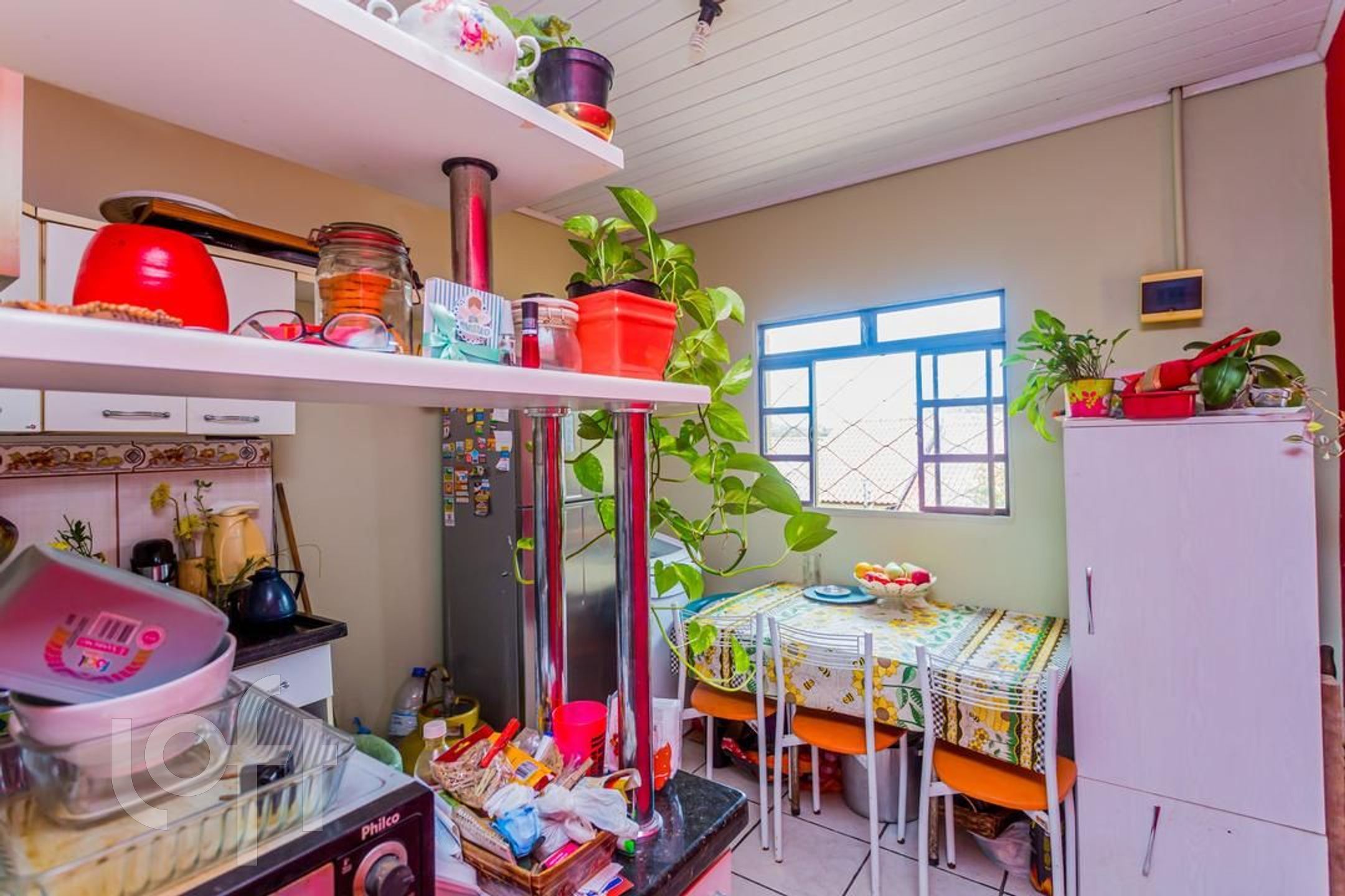 Imagem da propriedade 13