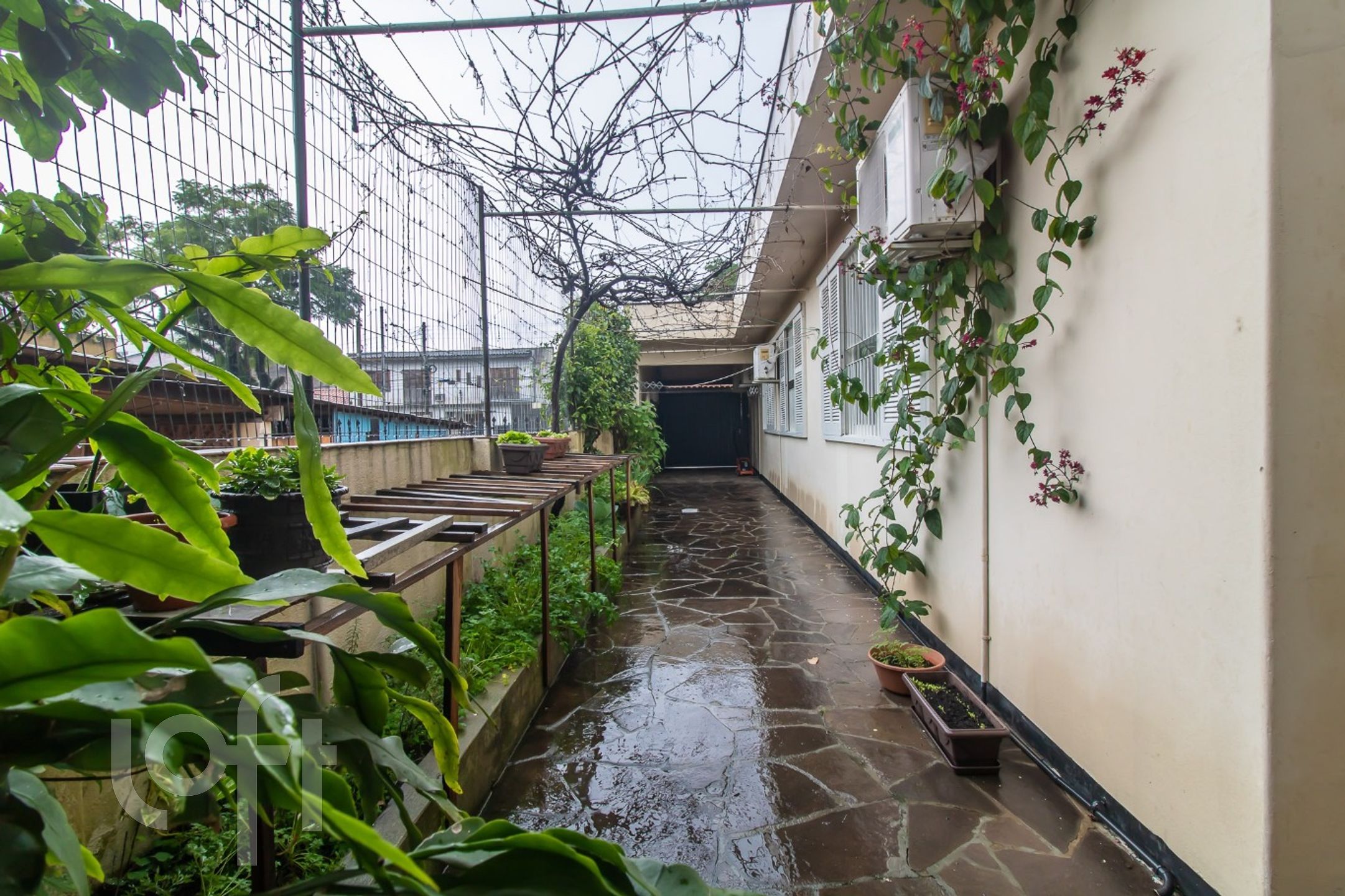 Imagem da propriedade 40