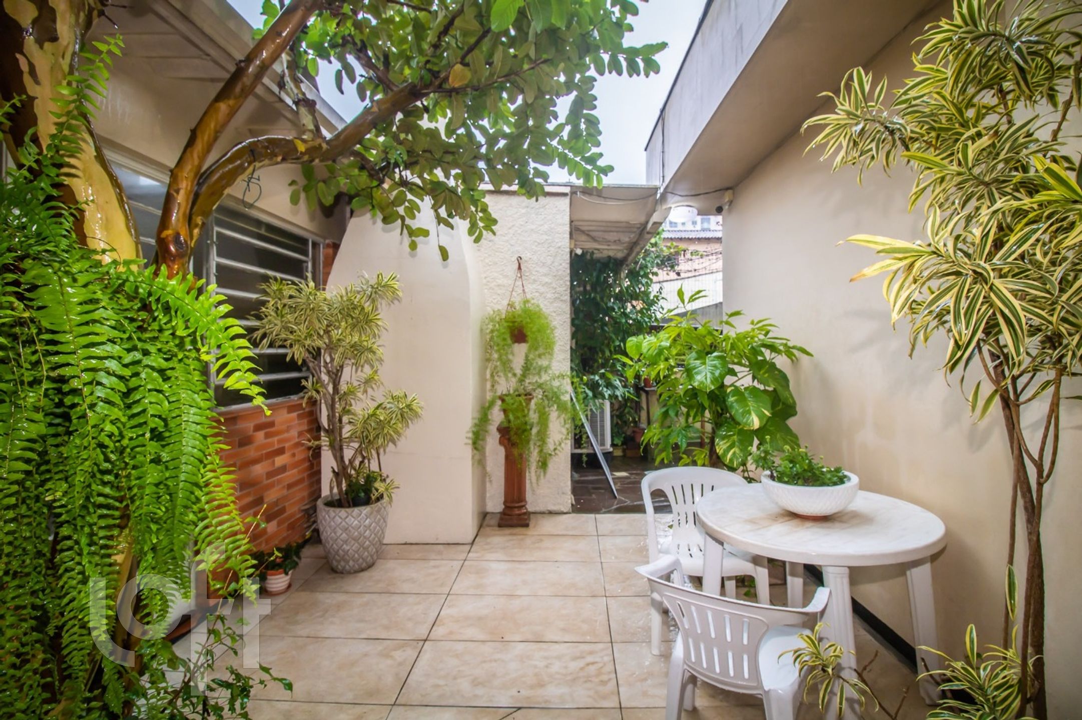 Imagem da propriedade 5