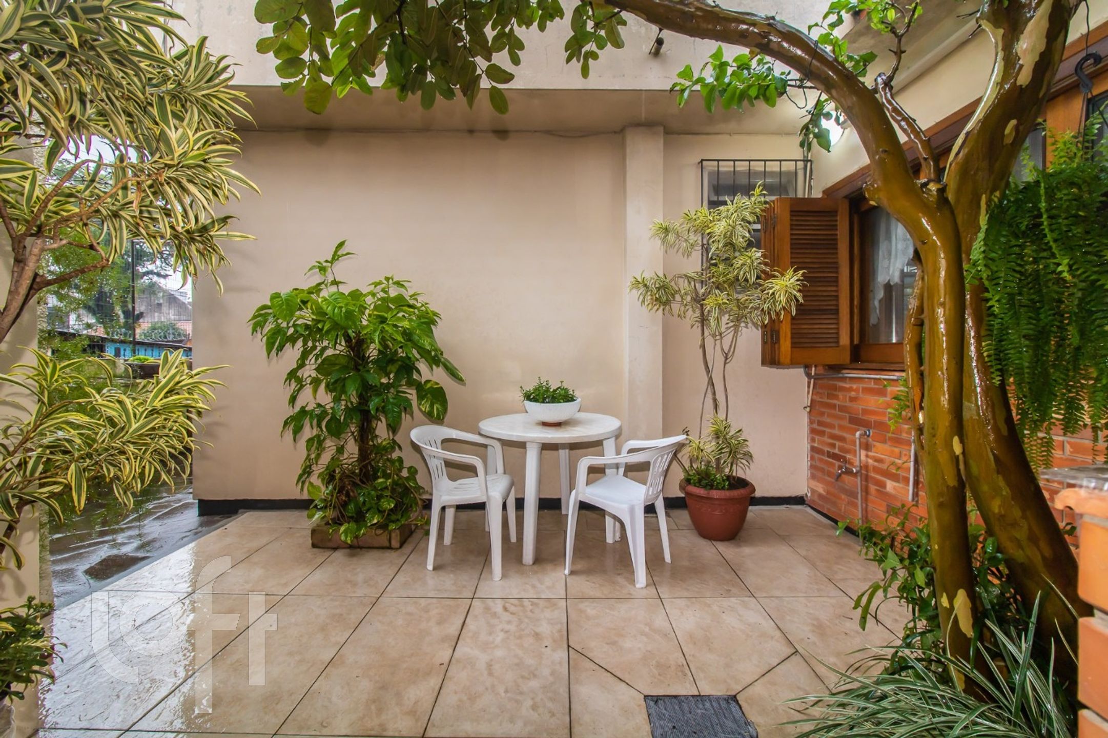 Imagem da propriedade 3