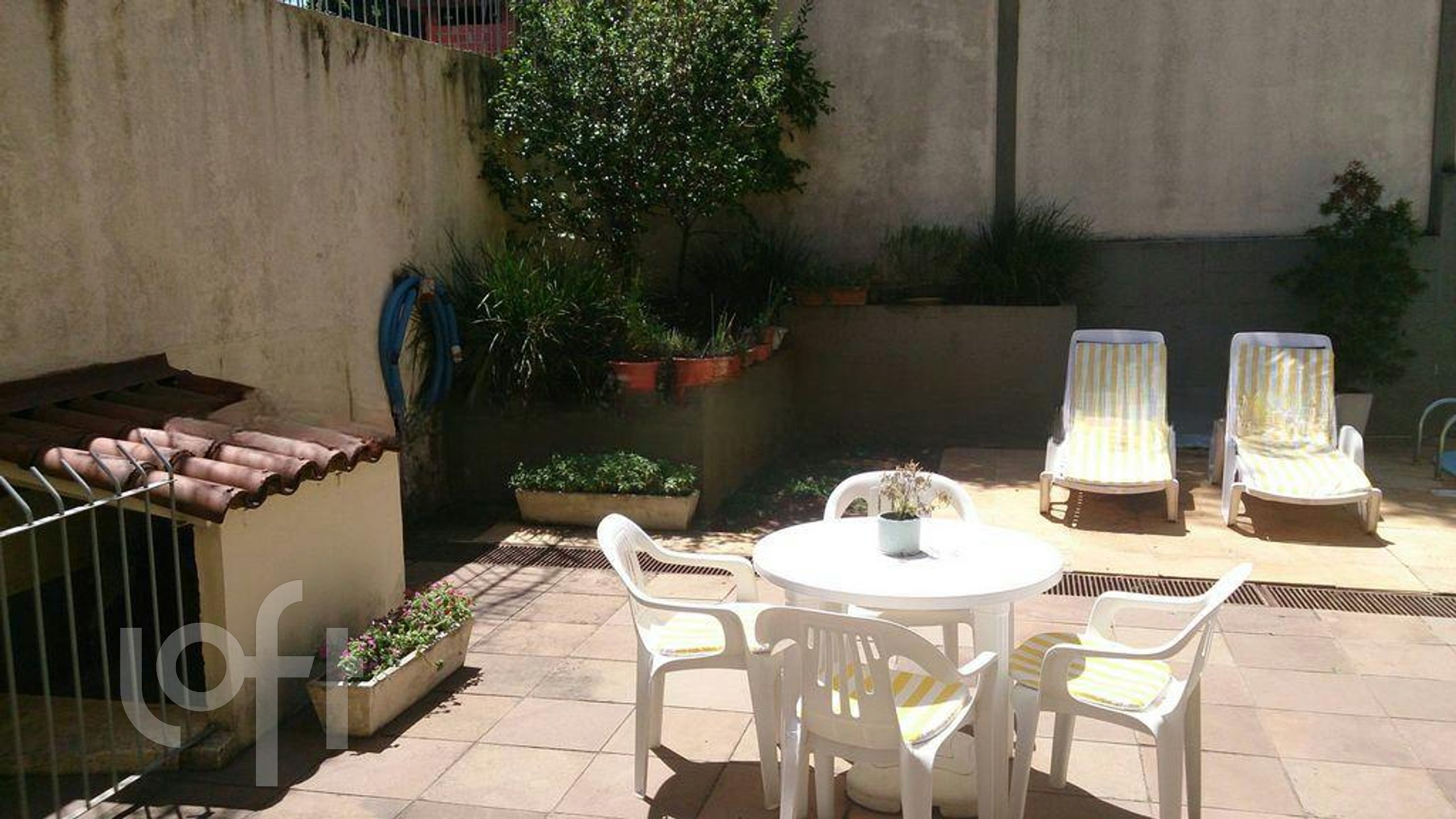 Imagem da propriedade 10