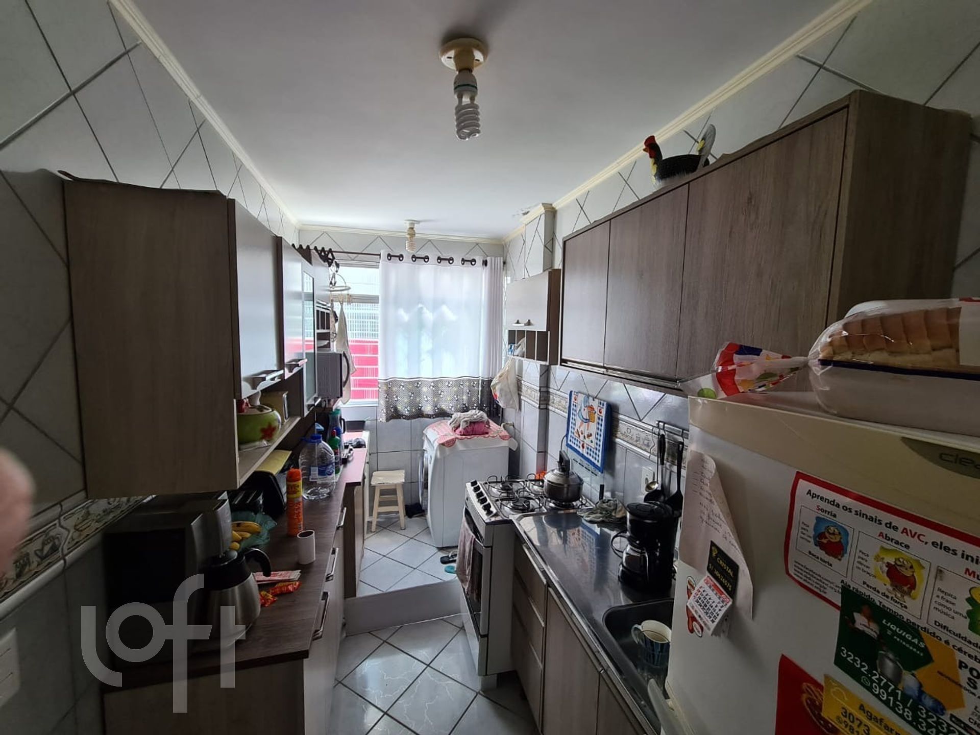 Imagem da propriedade 6