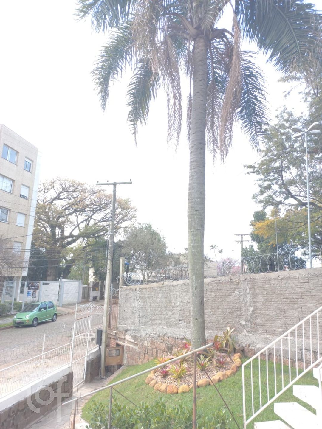 Imagem da propriedade 11