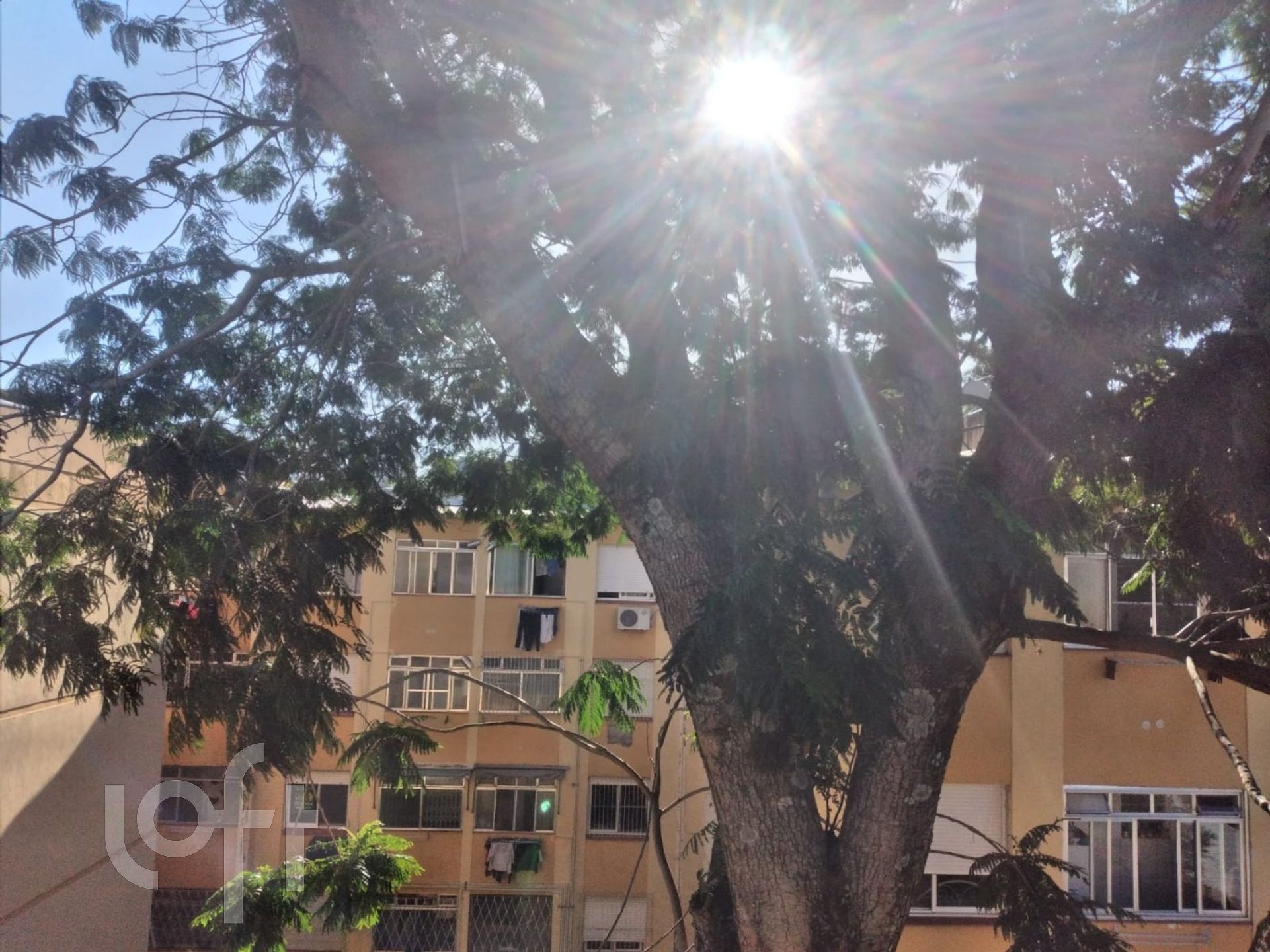 Imagem da propriedade 15