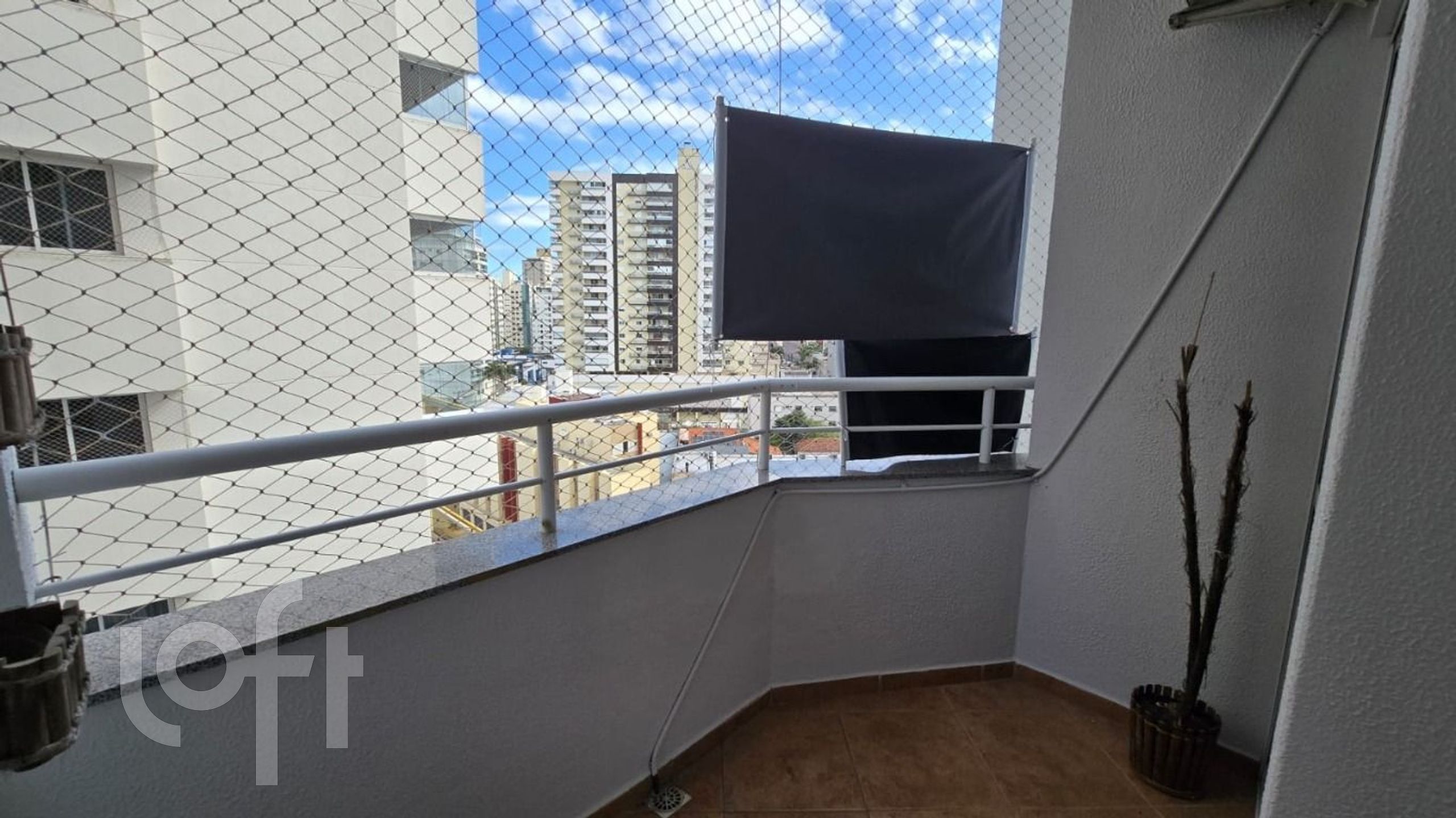 Imagem da propriedade 6