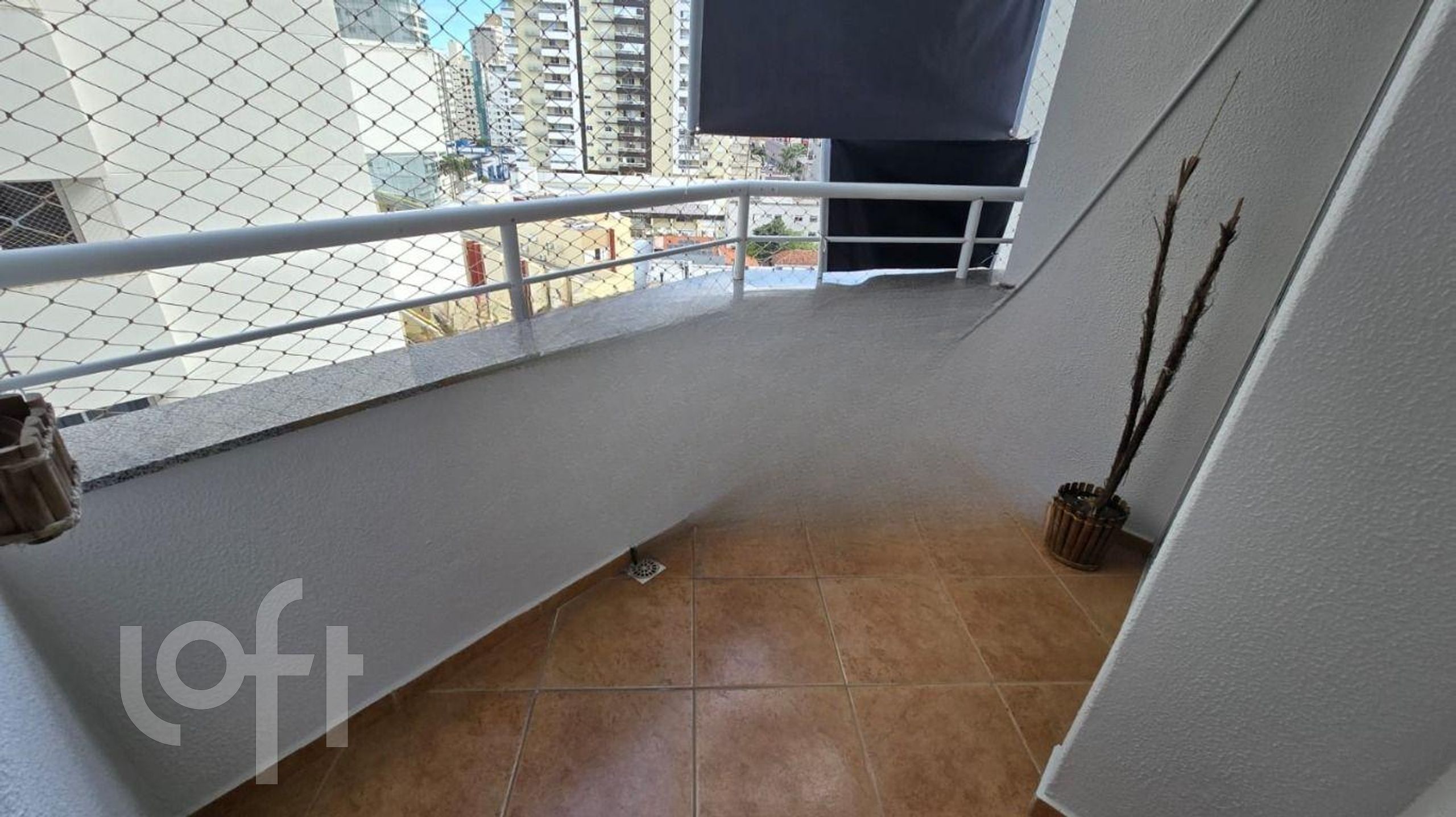 Imagem da propriedade 7