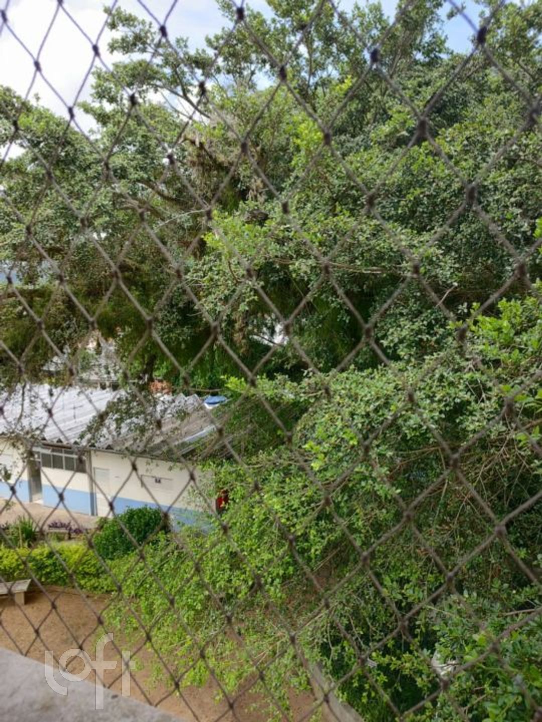 Imagem da propriedade 6