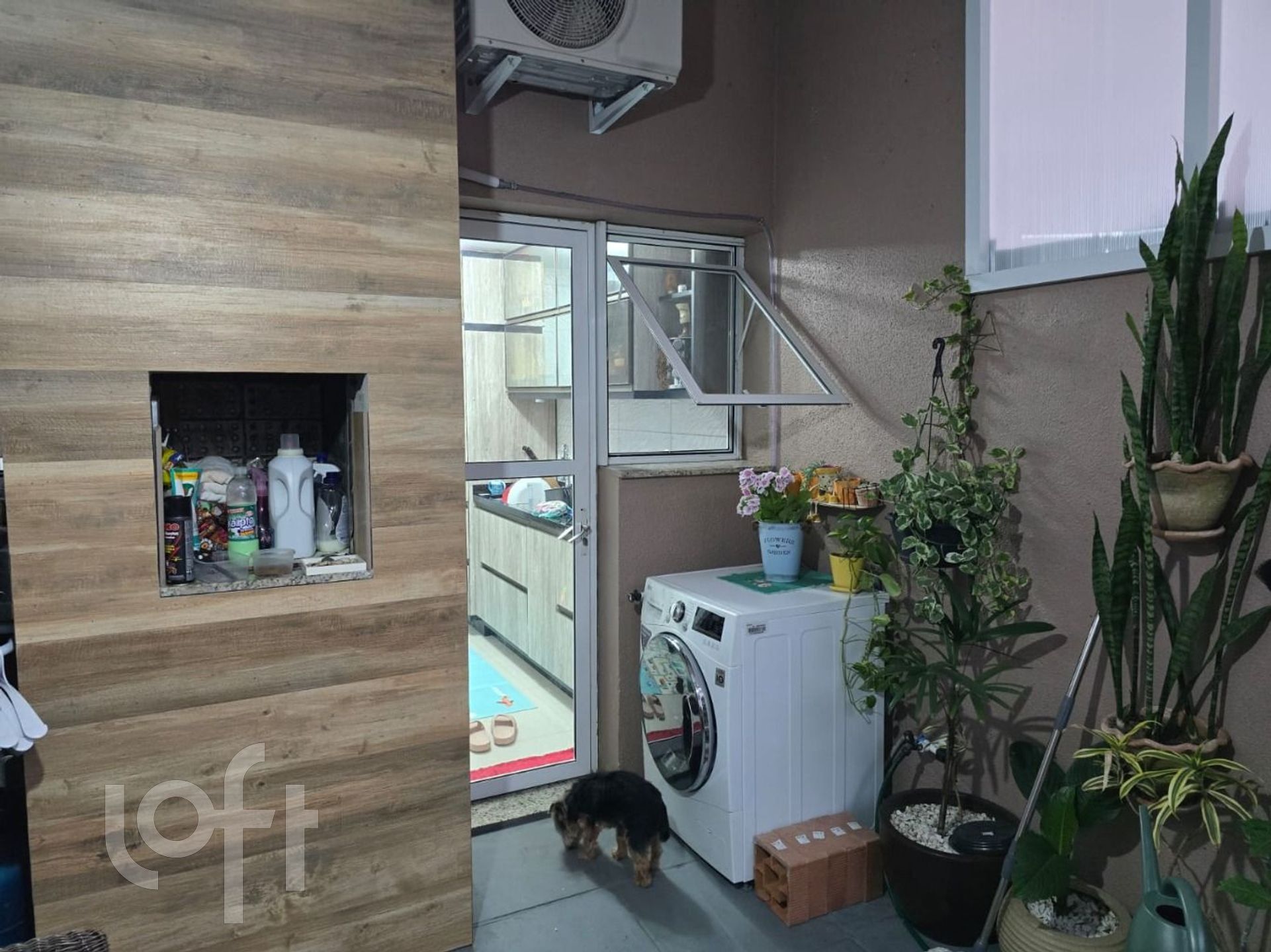 Imagem da propriedade 8