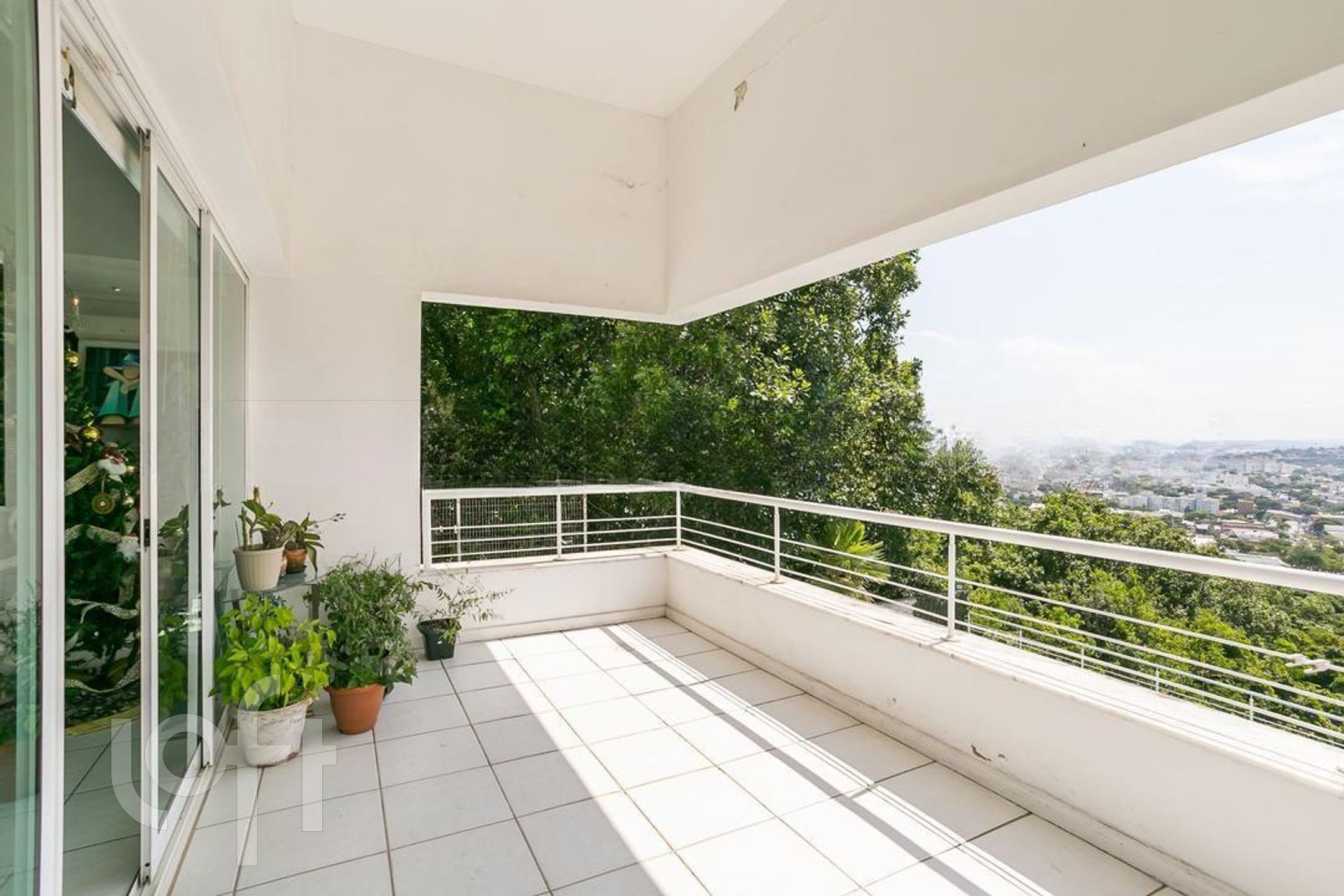 Imagem da propriedade 5