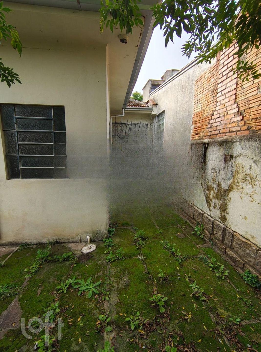 Imagem da propriedade 28