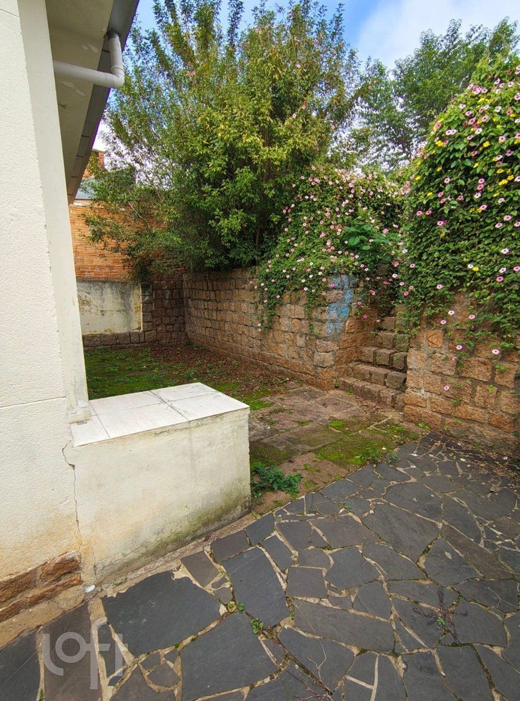 Imagem da propriedade 24