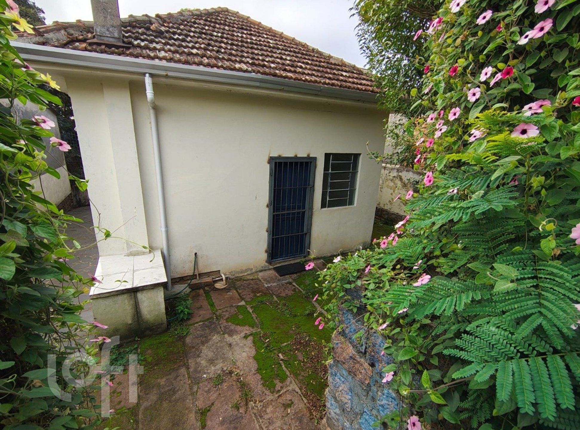 Imagem da propriedade 27