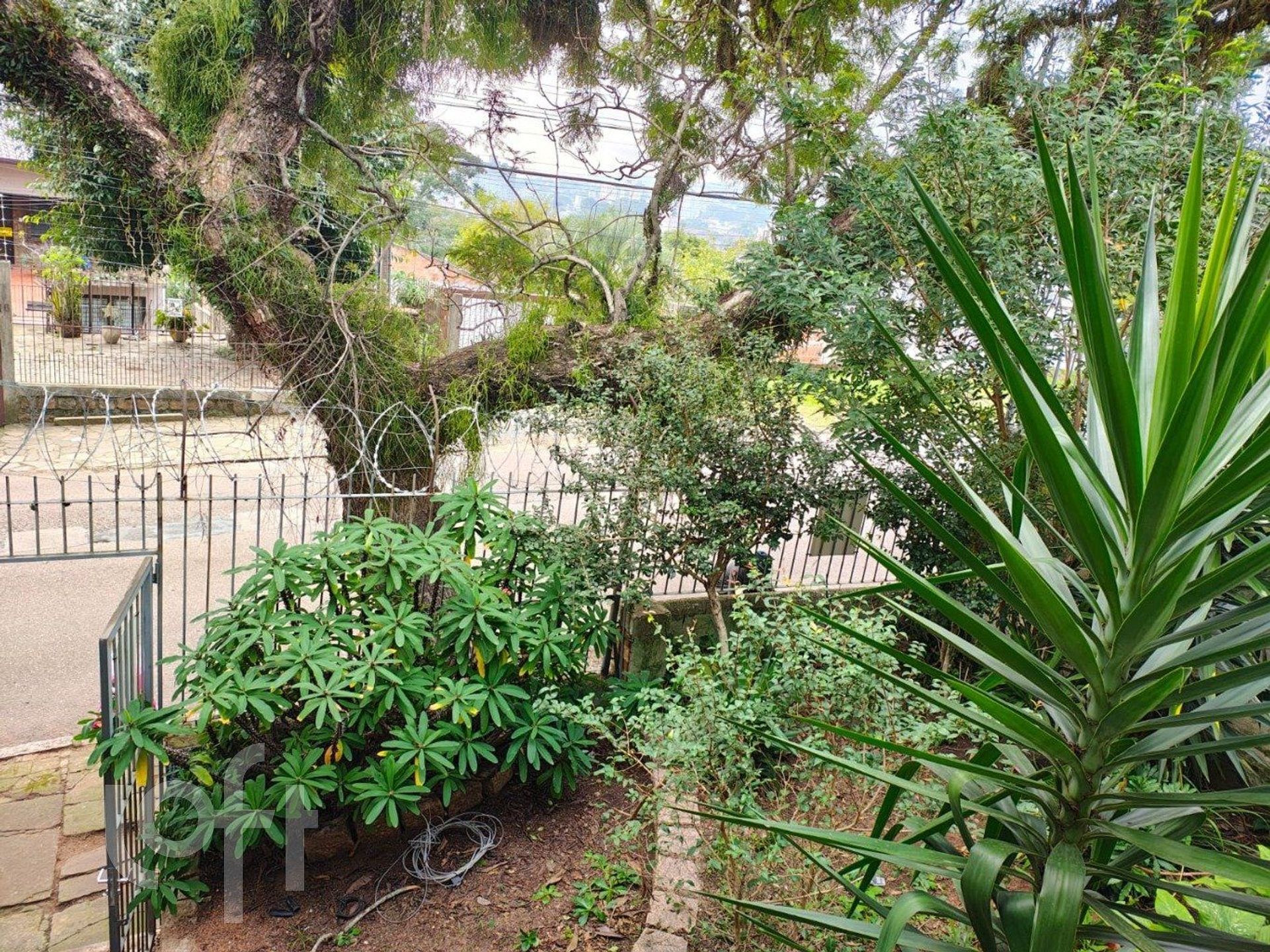 Imagem da propriedade 22