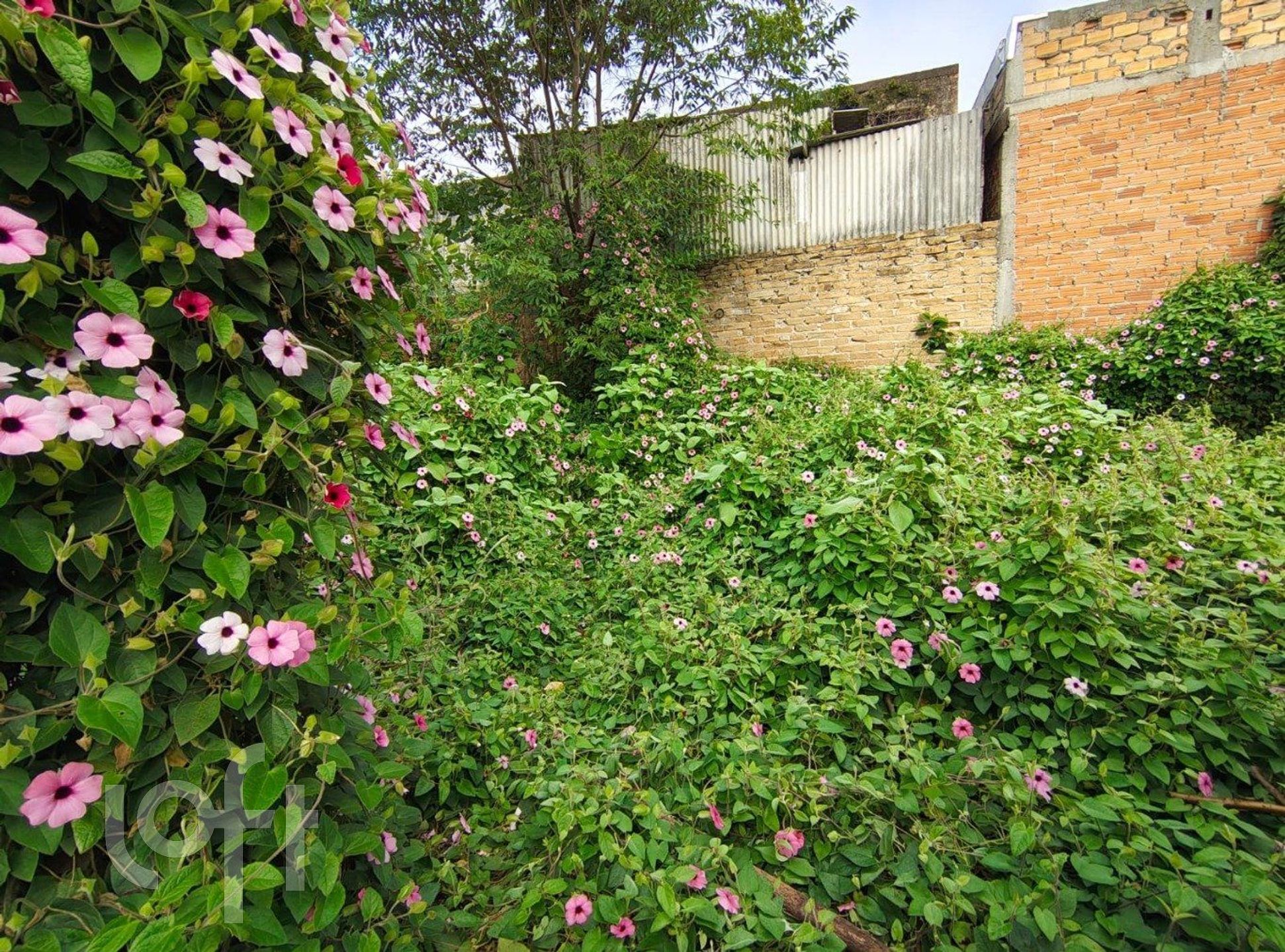 Imagem da propriedade 25