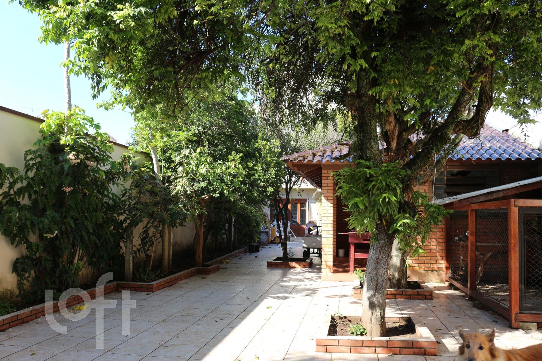 Imagem da propriedade 20