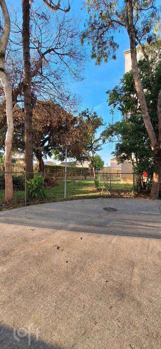 Imagem da propriedade 11