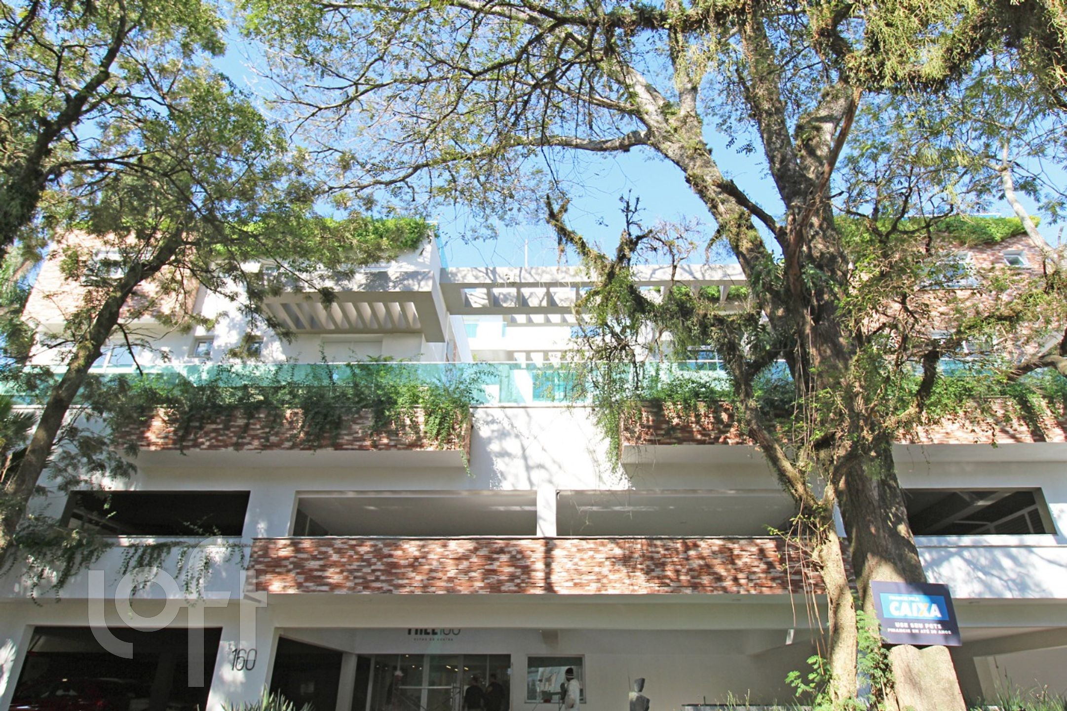 Imagem da propriedade 22