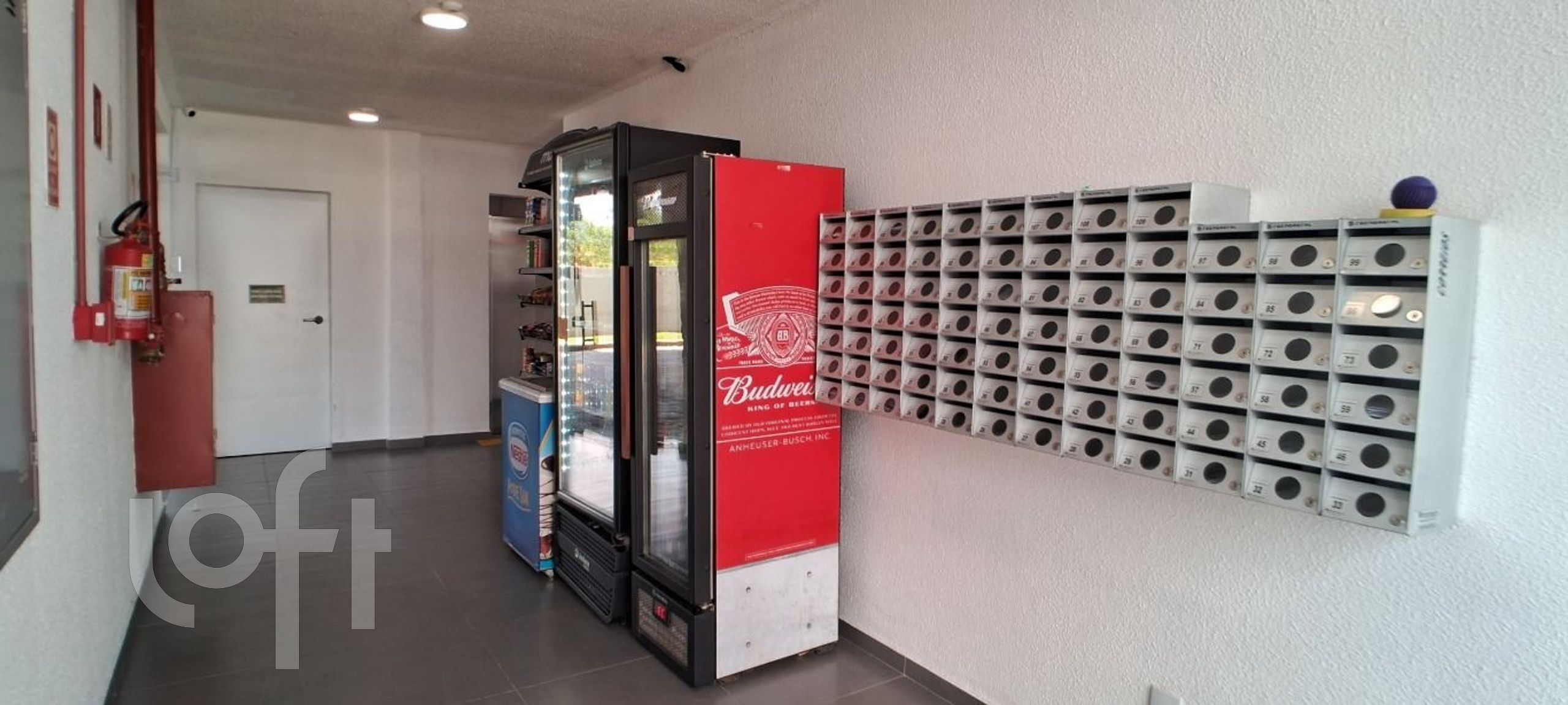 Imagem da propriedade 19