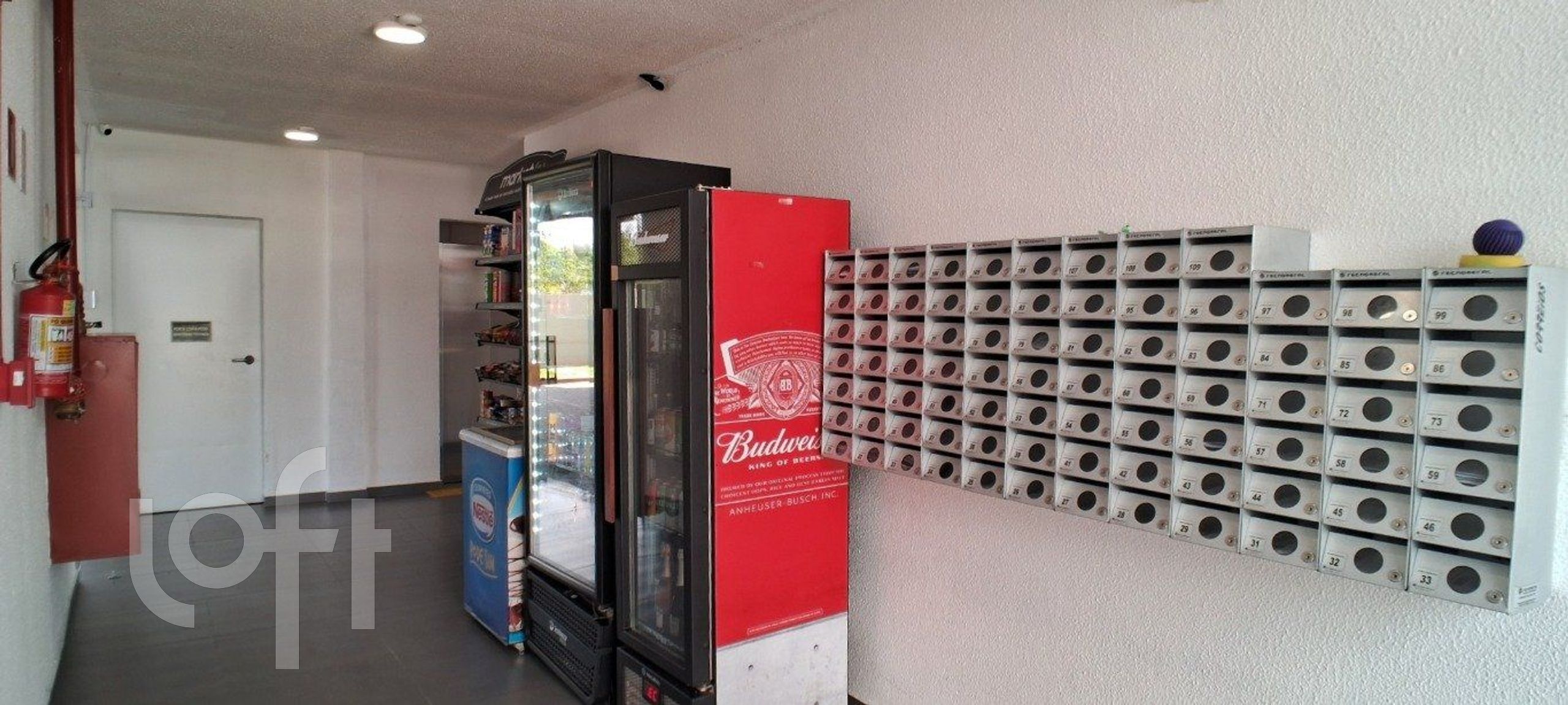 Imagem da propriedade 17