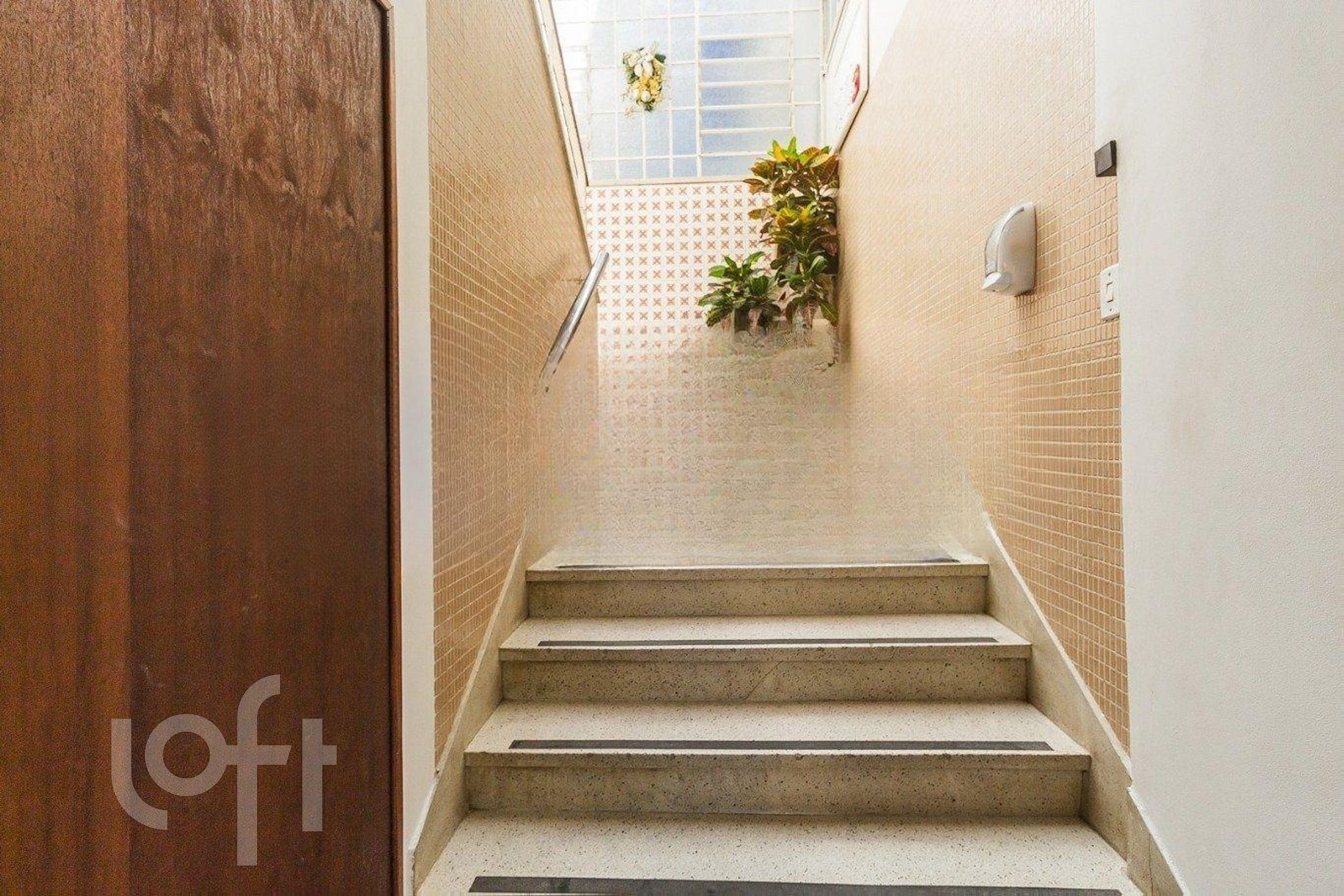 Imagem da propriedade 27