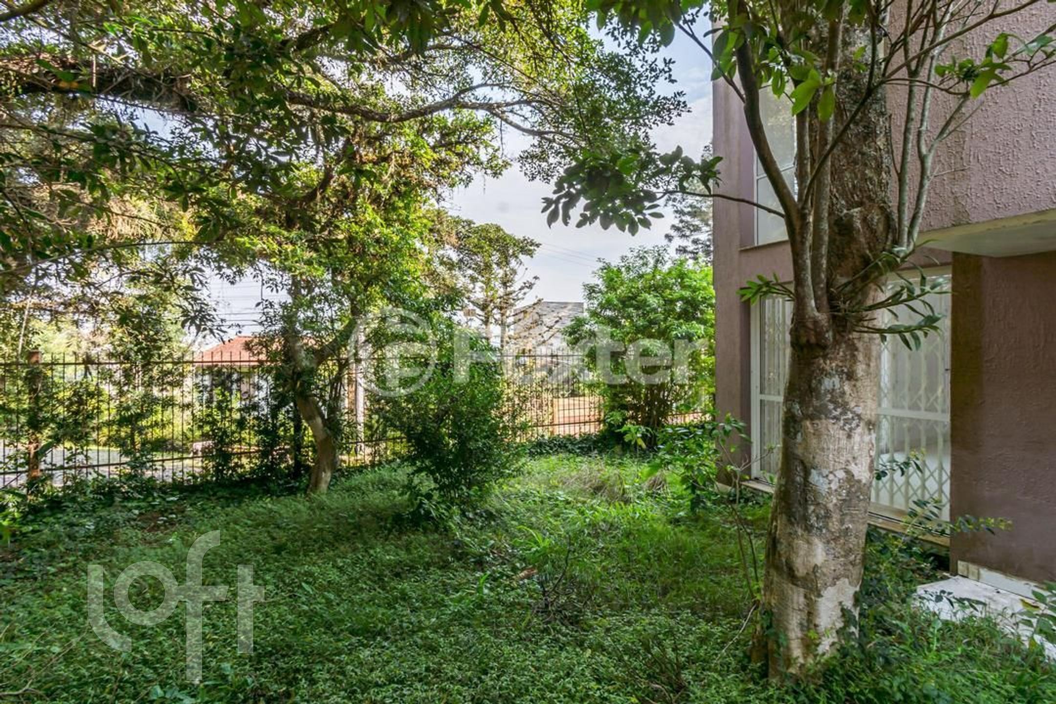 Imagem da propriedade 53