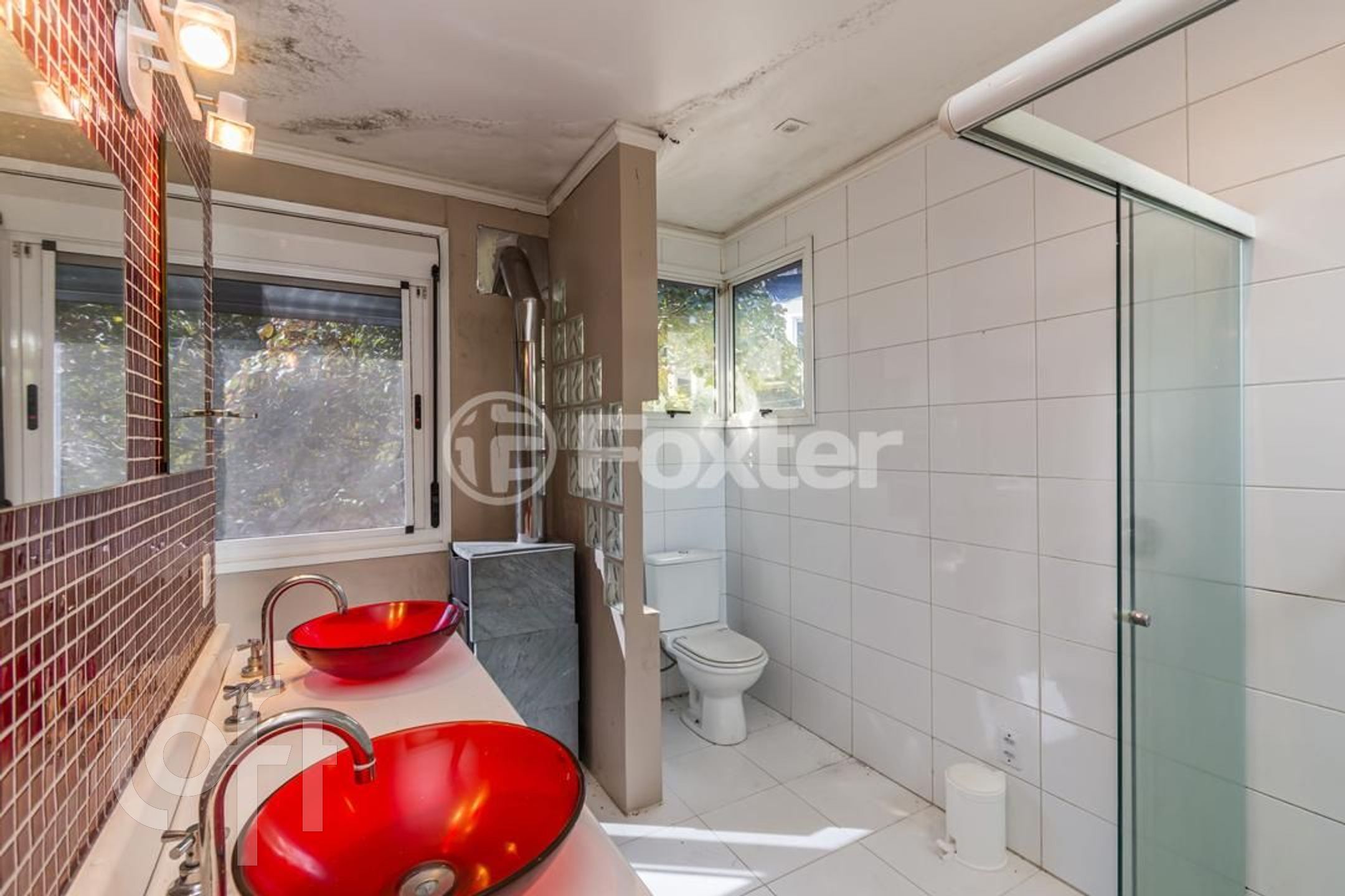 Imagem da propriedade 18