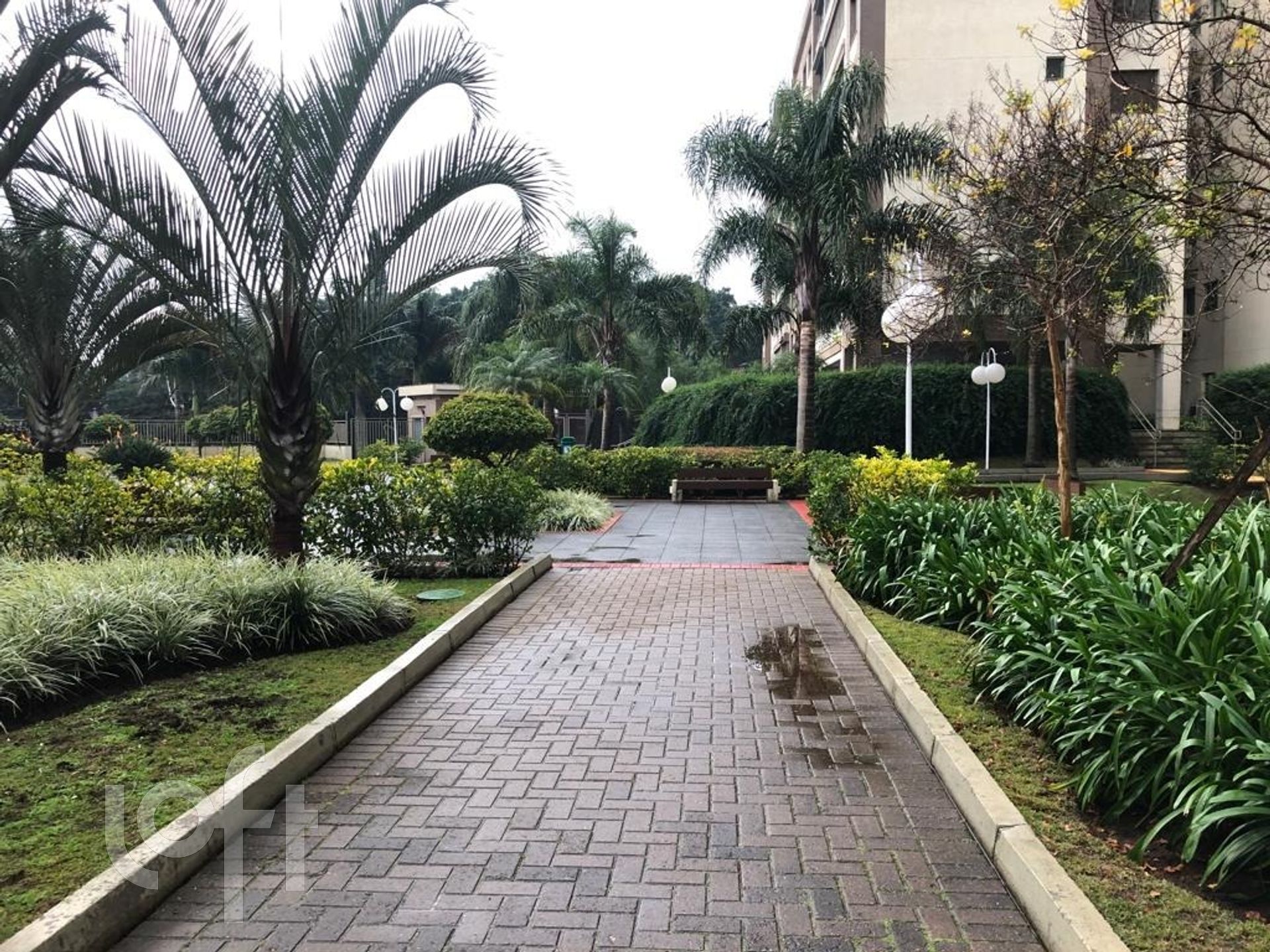 Imagem da propriedade 15