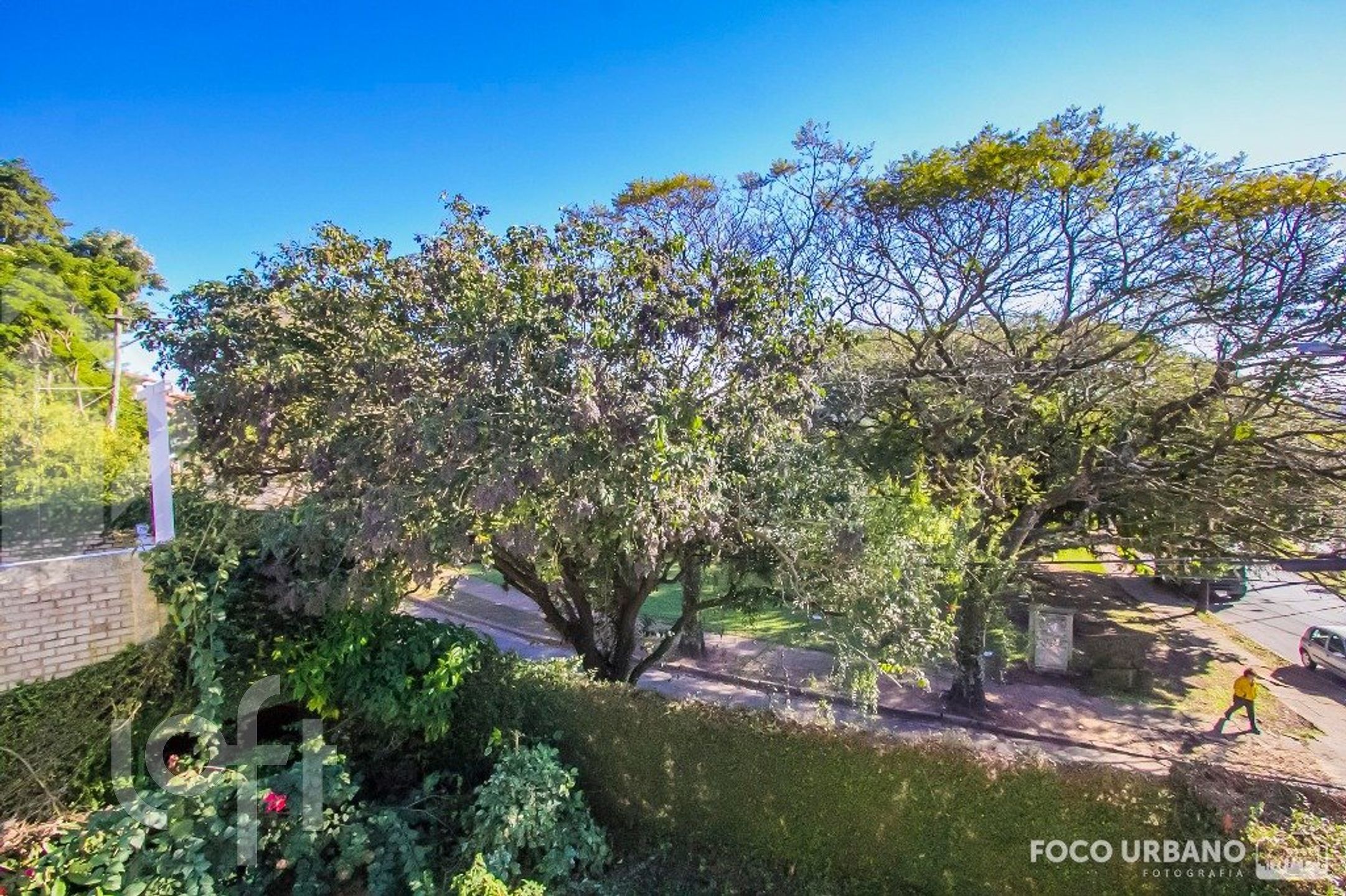 Imagem da propriedade 16