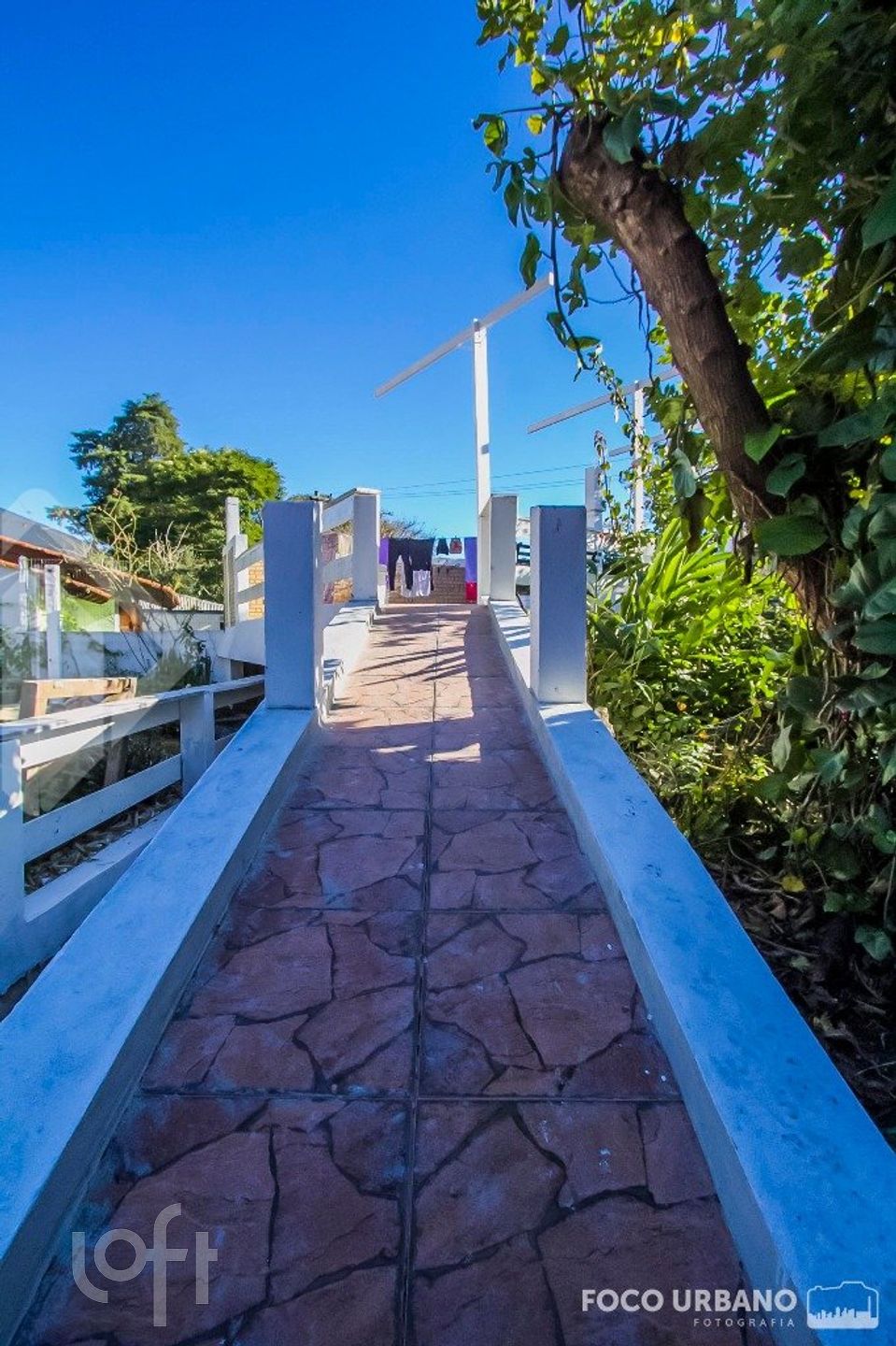 Imagem da propriedade 22