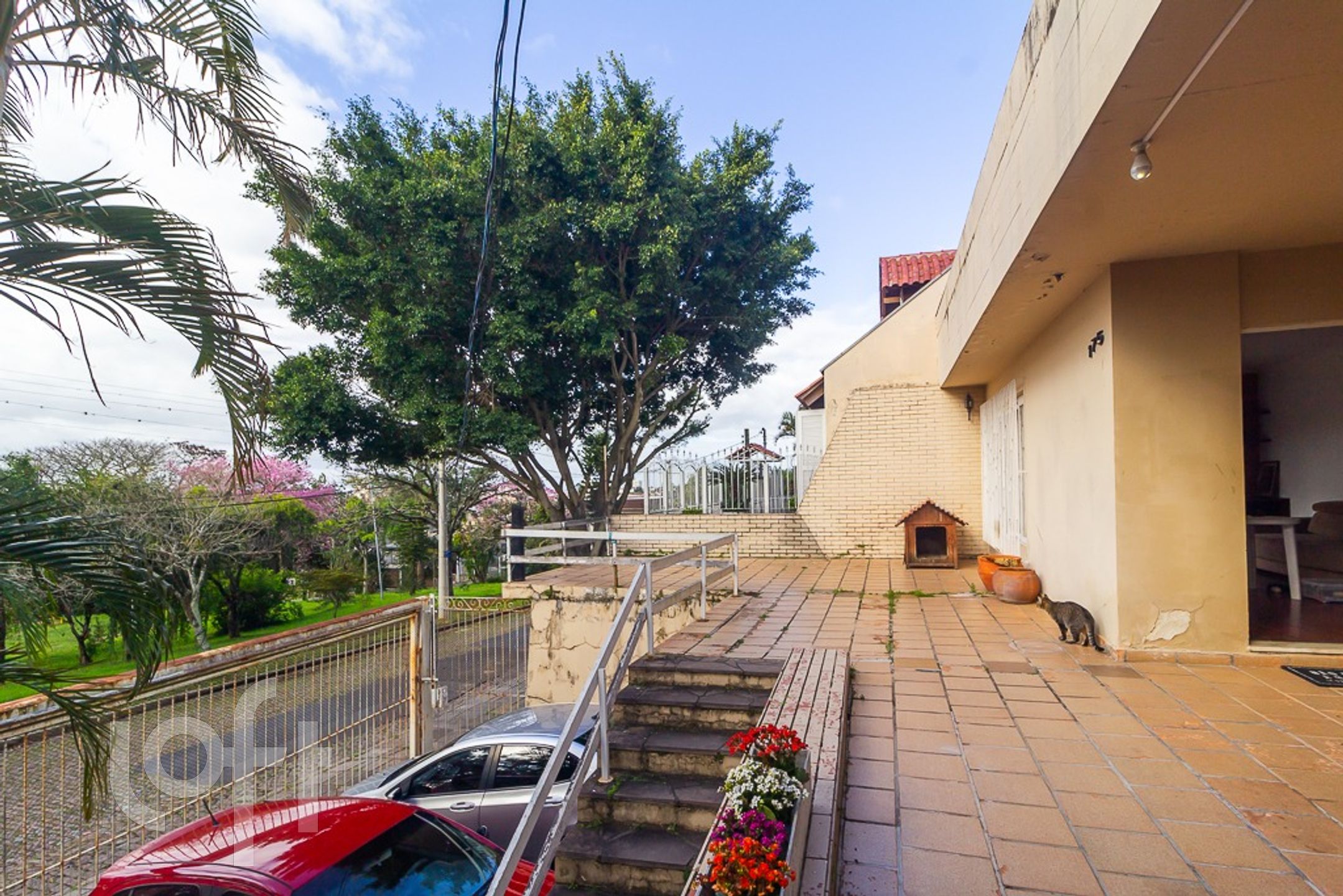 Imagem da propriedade 3