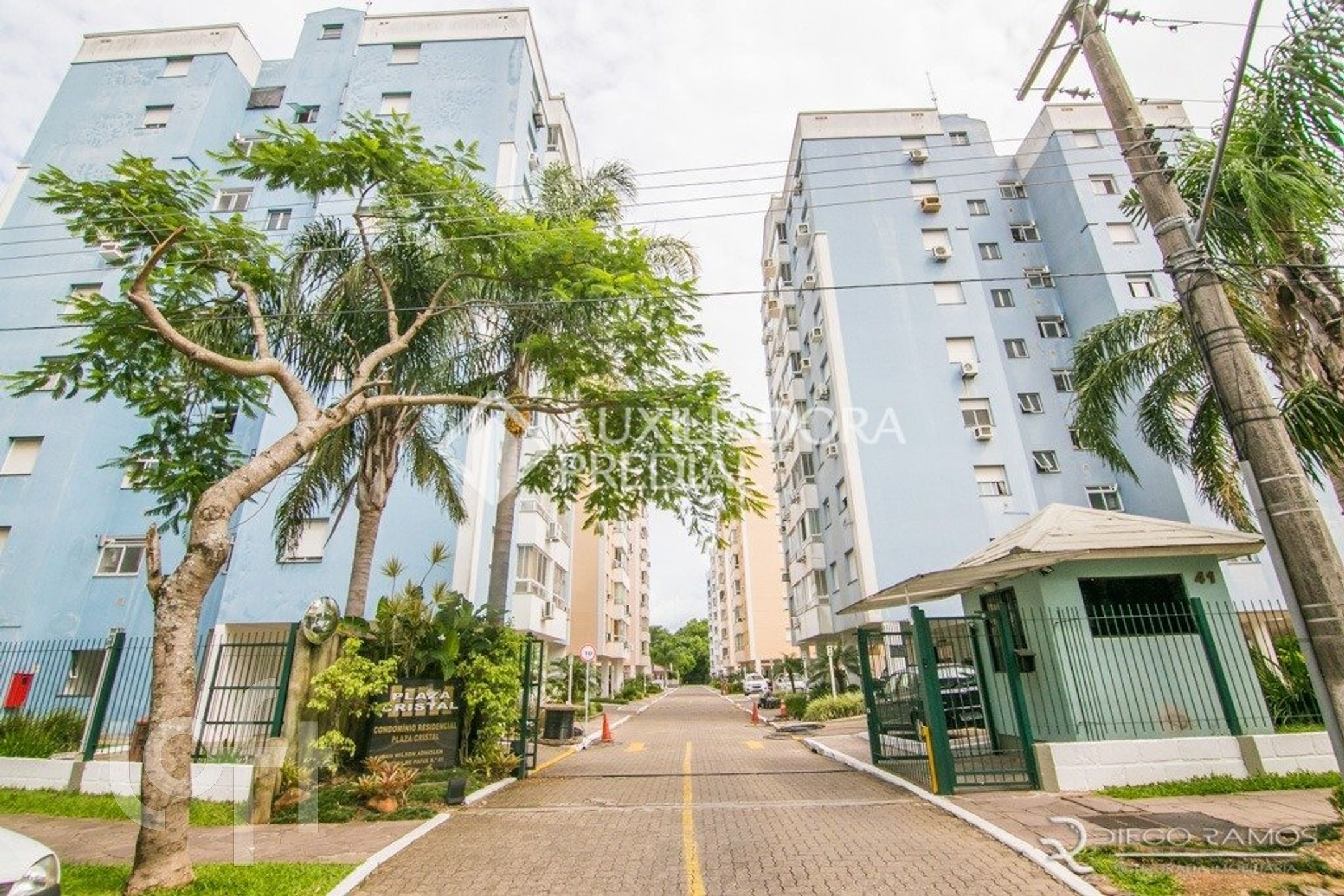 Imagem da propriedade 65