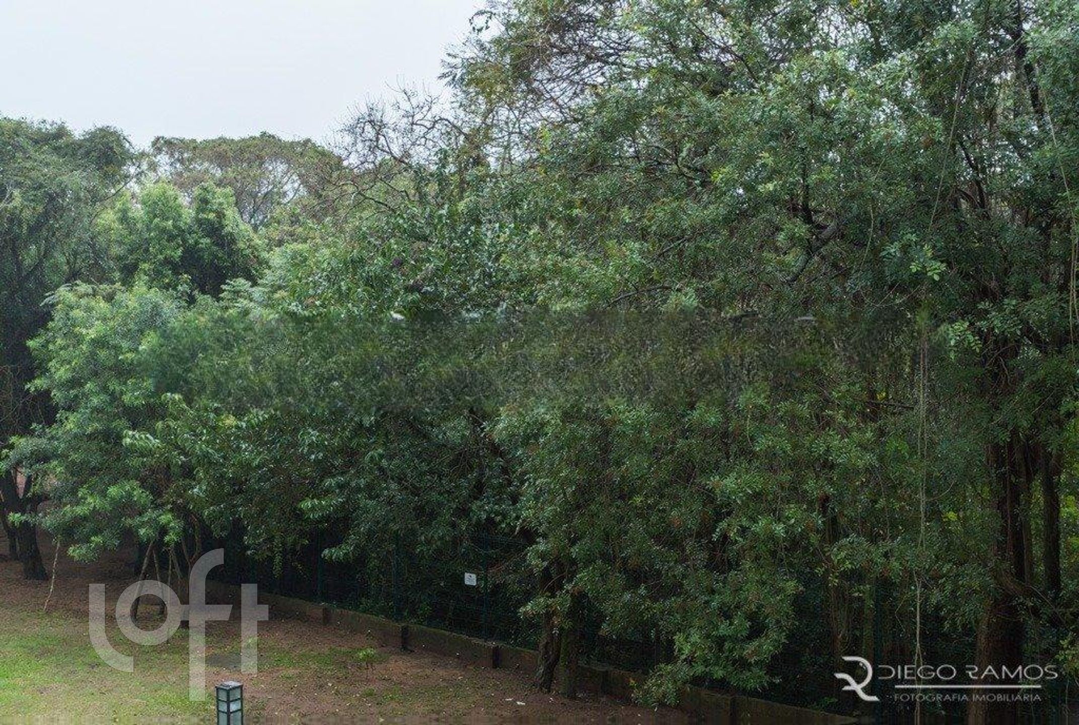 Imagem da propriedade 53