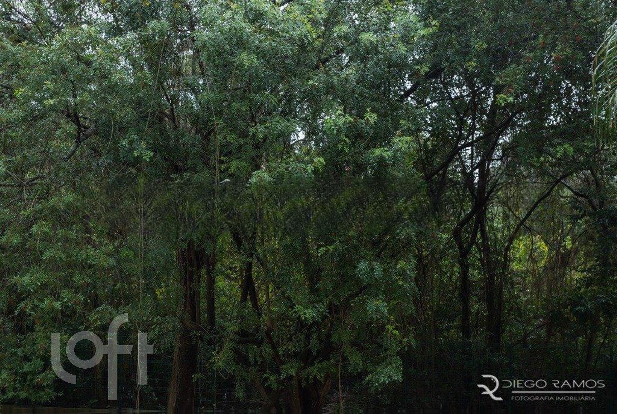 Imagem da propriedade 54