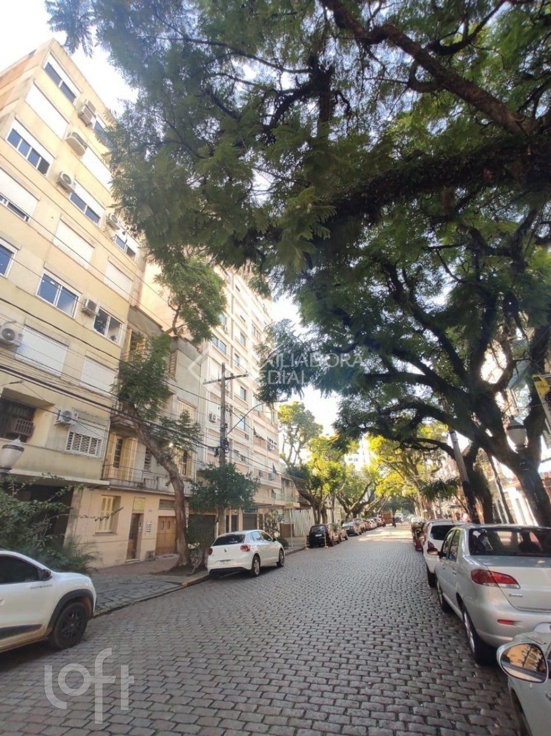 Imagem da propriedade 13