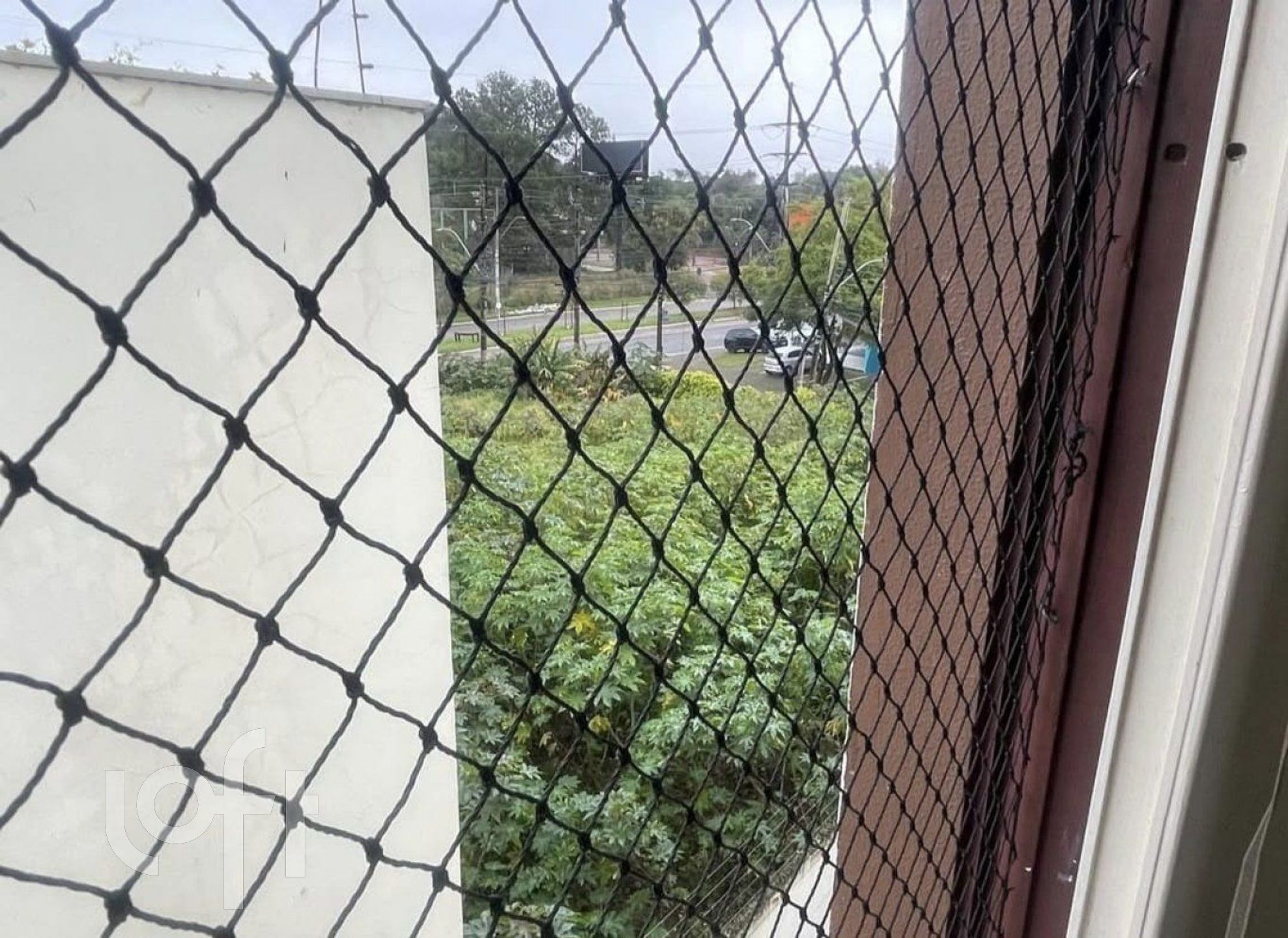 Imagem da propriedade 6