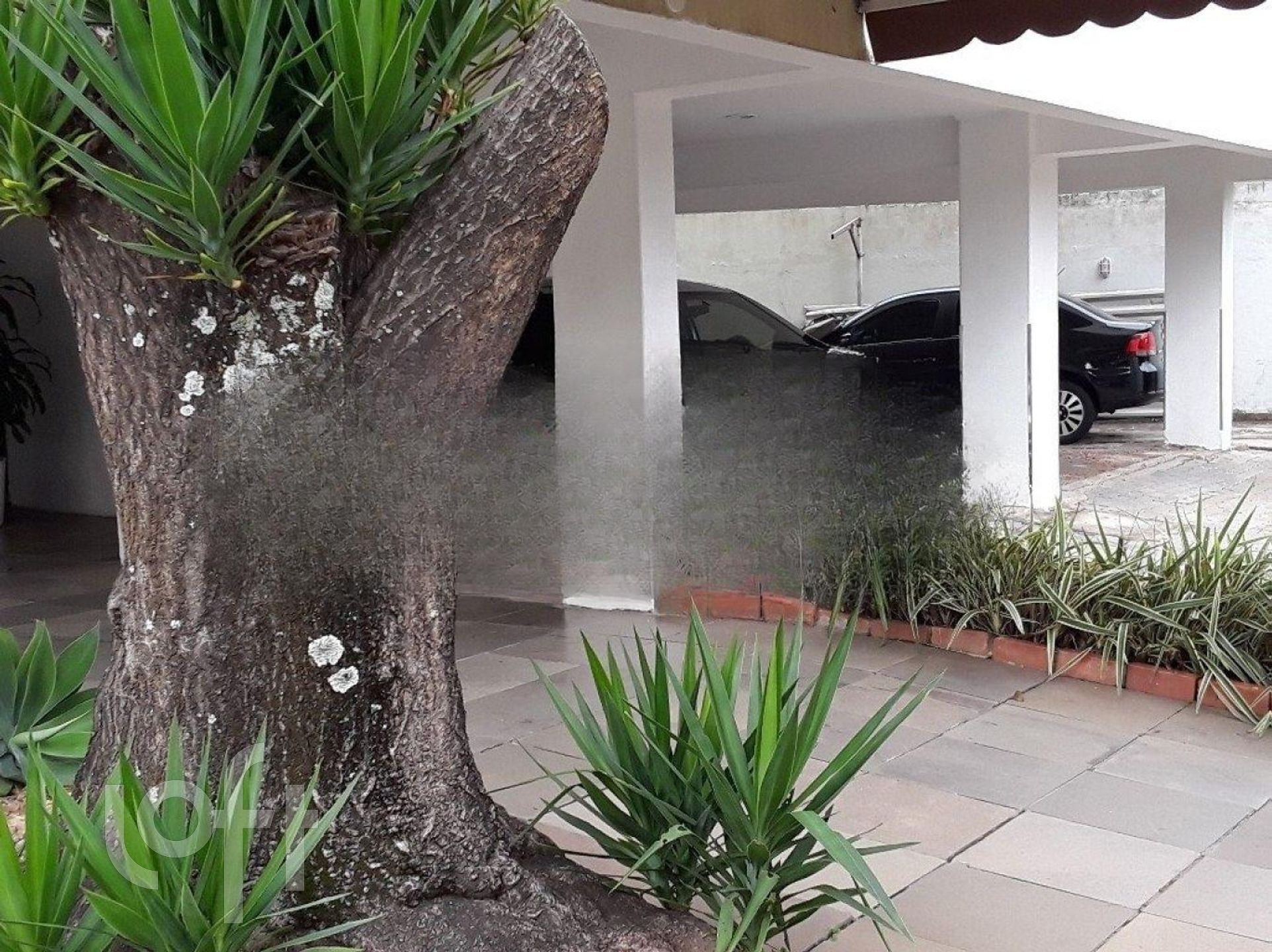 Imagem da propriedade 14