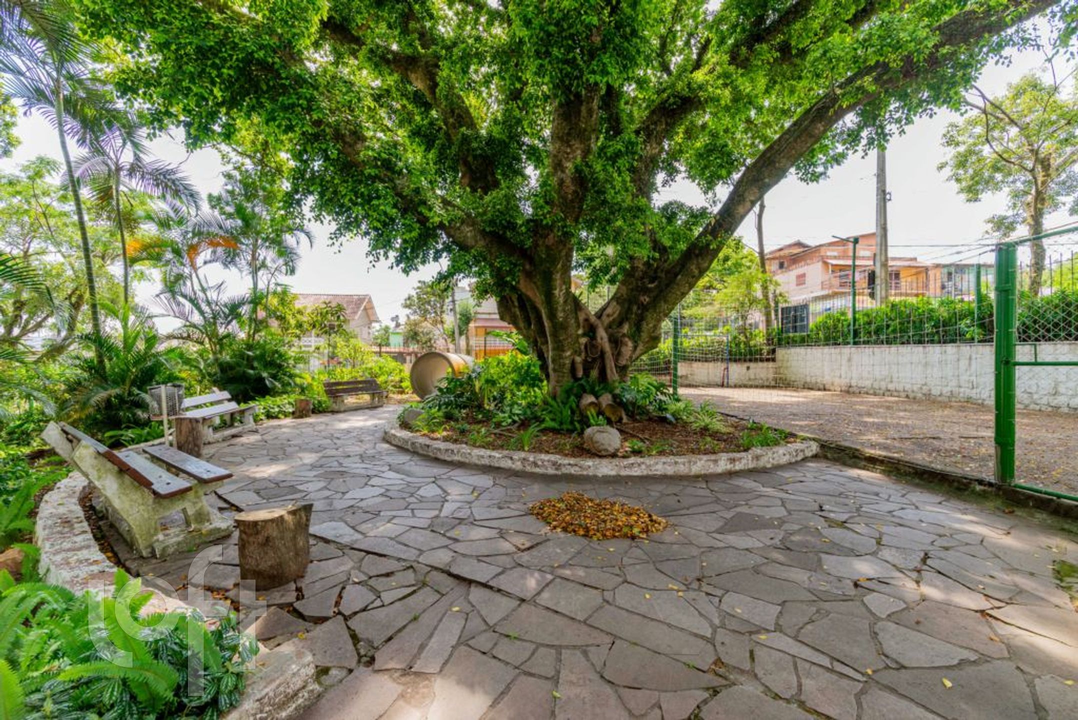 Imagem da propriedade 53