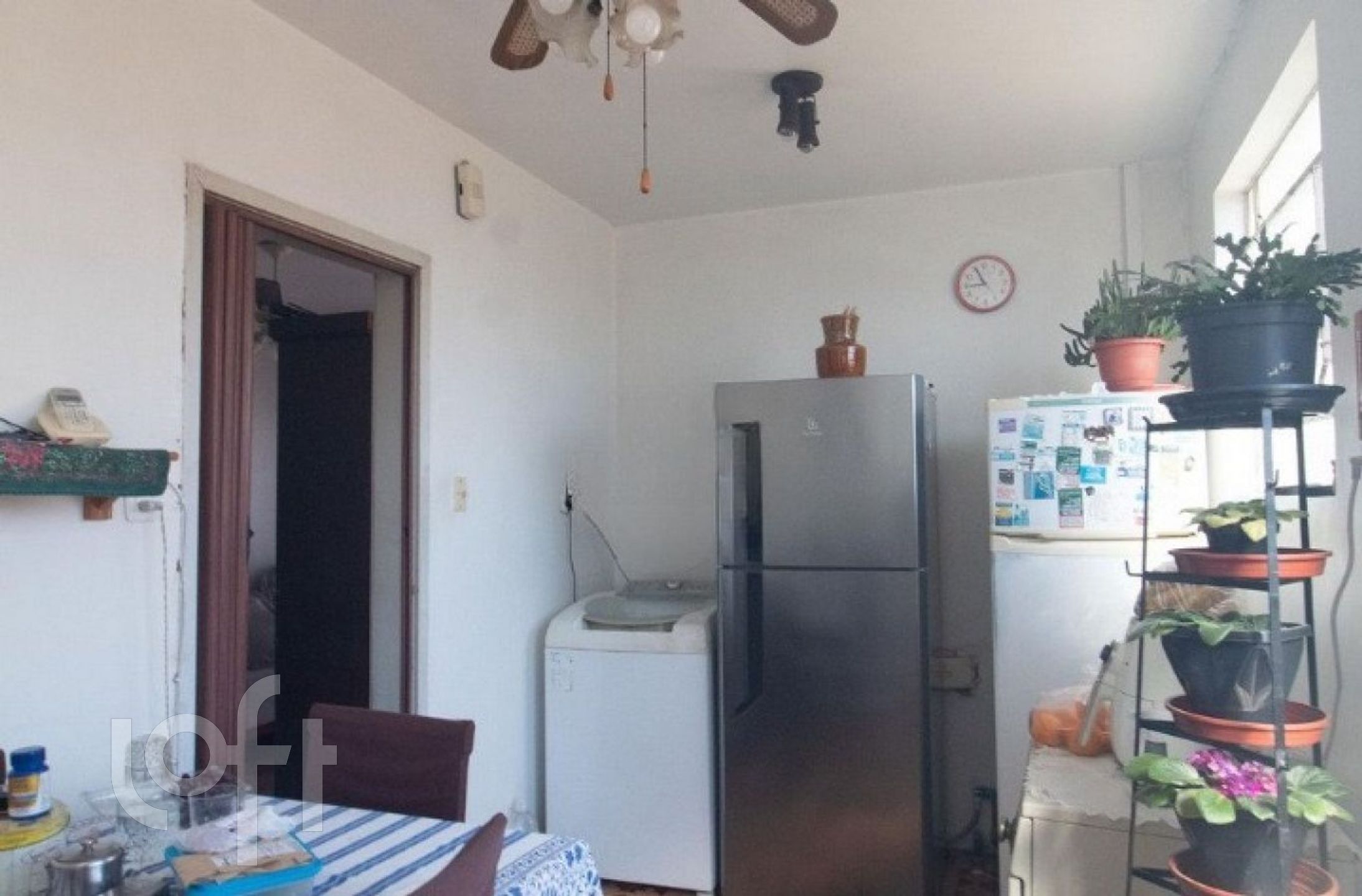 Imagem da propriedade 7