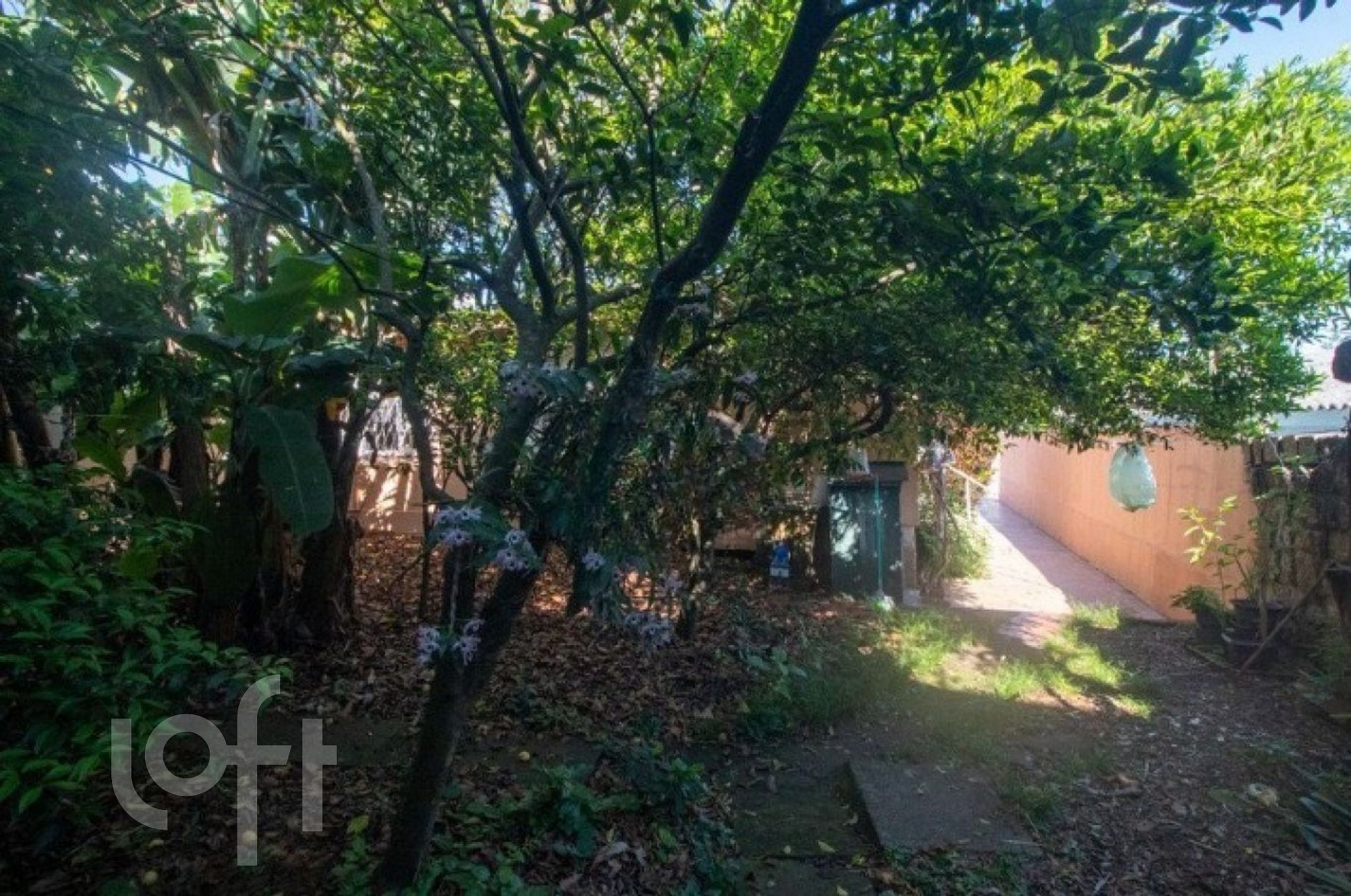 Imagem da propriedade 17