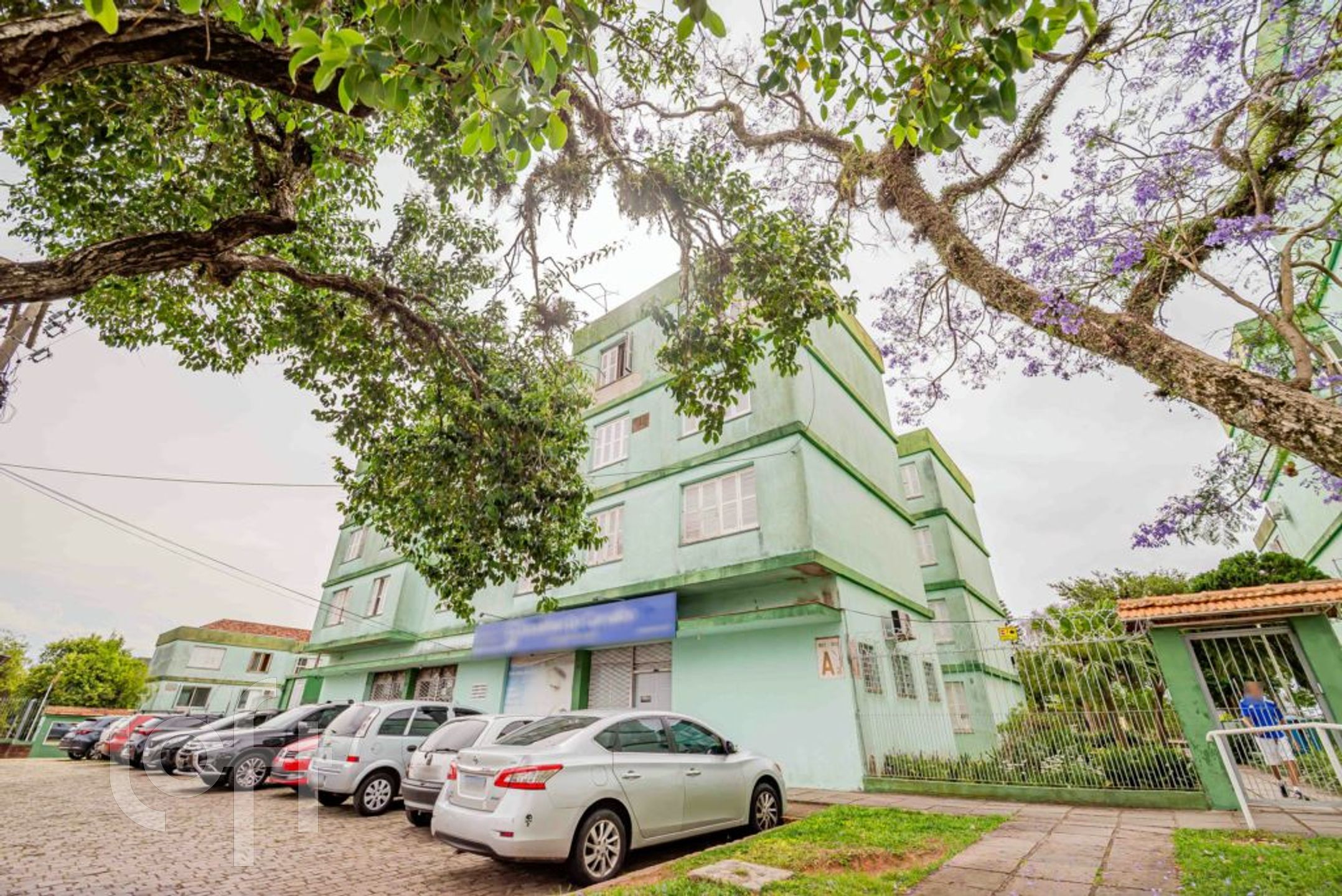 Imagem da propriedade 4