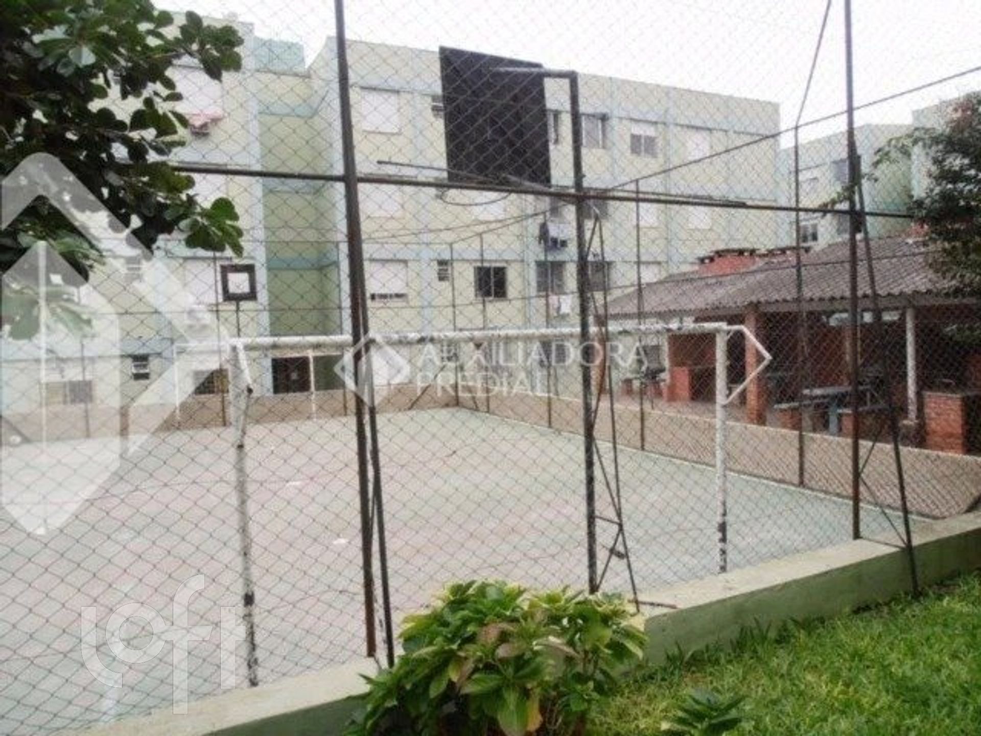 Imagem da propriedade 13