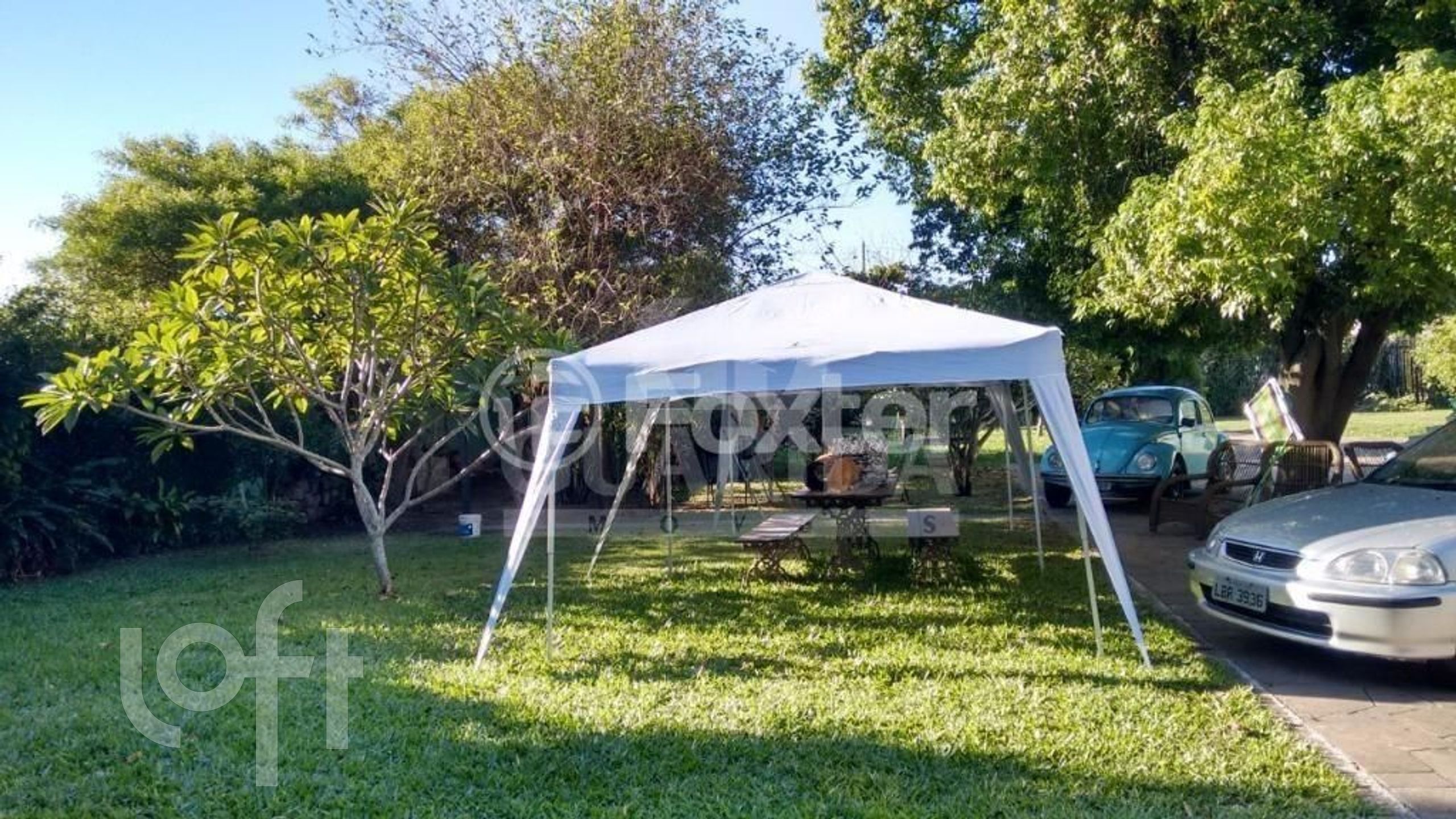 Imagem da propriedade 16