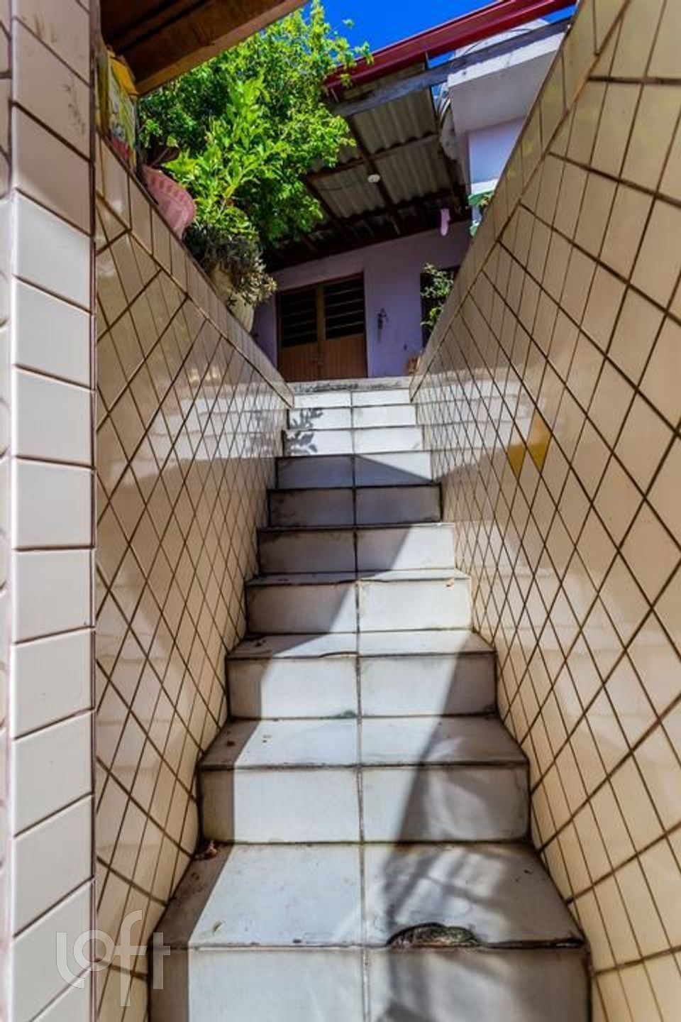 Imagem da propriedade 8