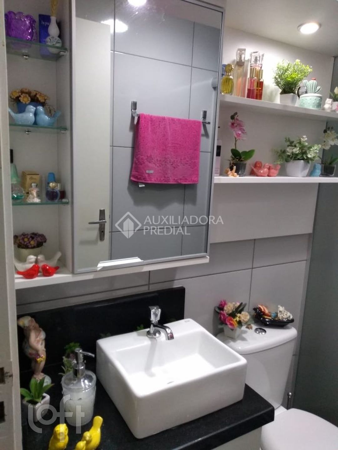 Imagem da propriedade 19