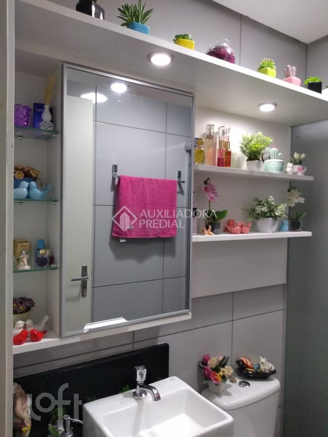 Imagem da propriedade 18