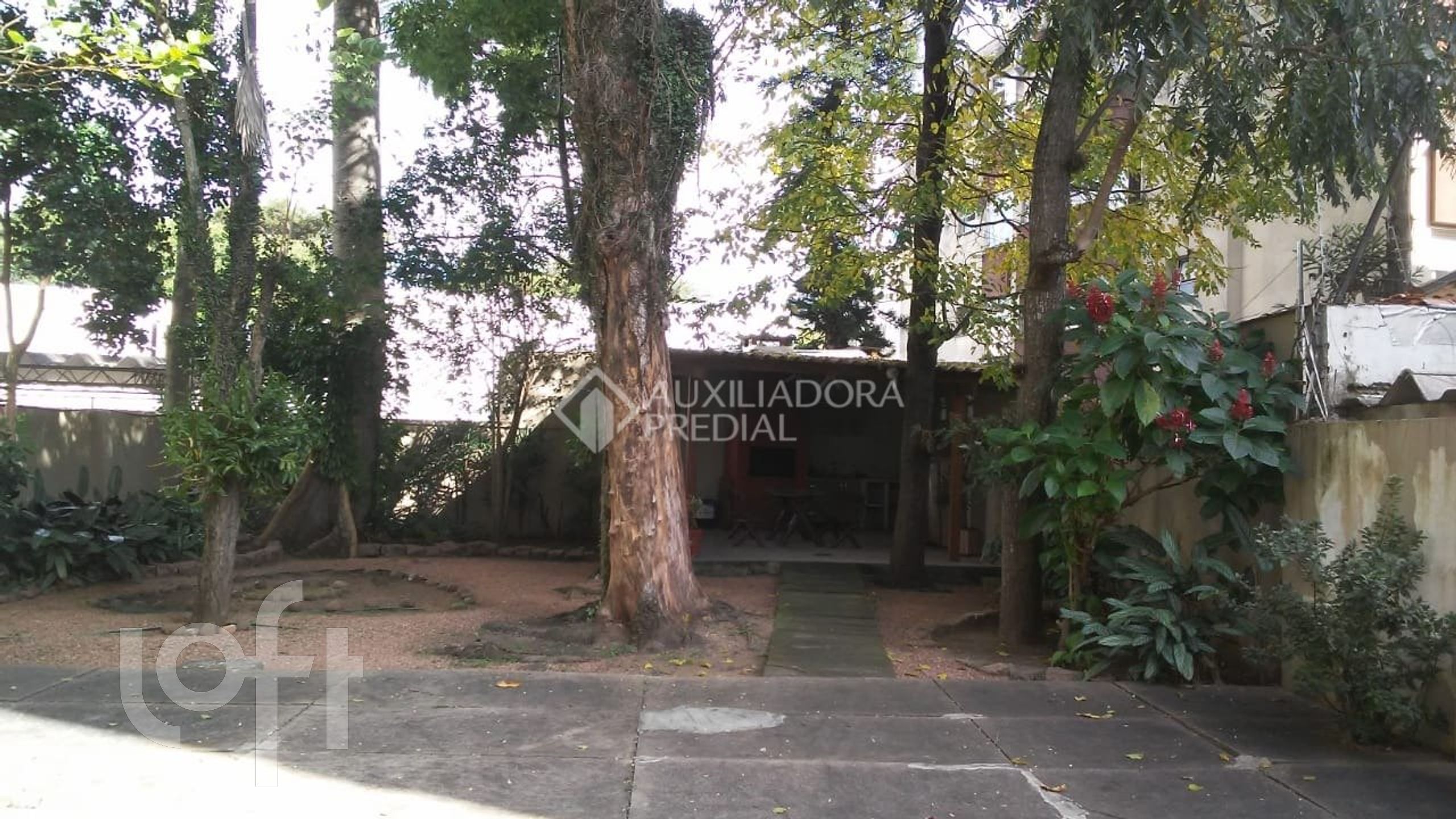 Imagem da propriedade 20