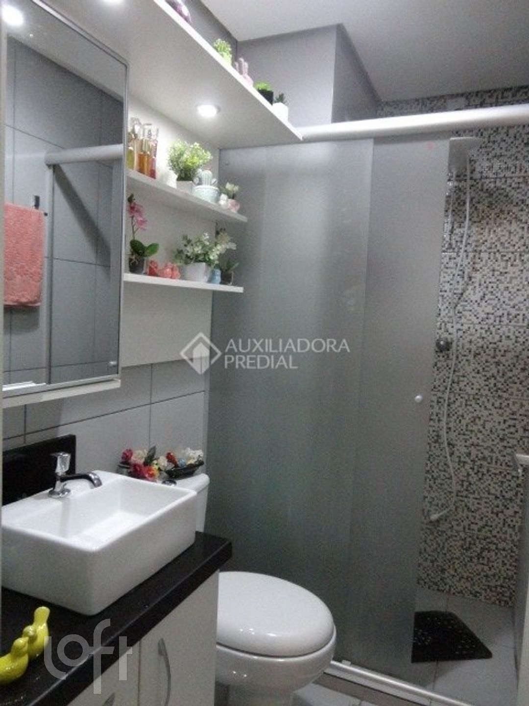 Imagem da propriedade 4