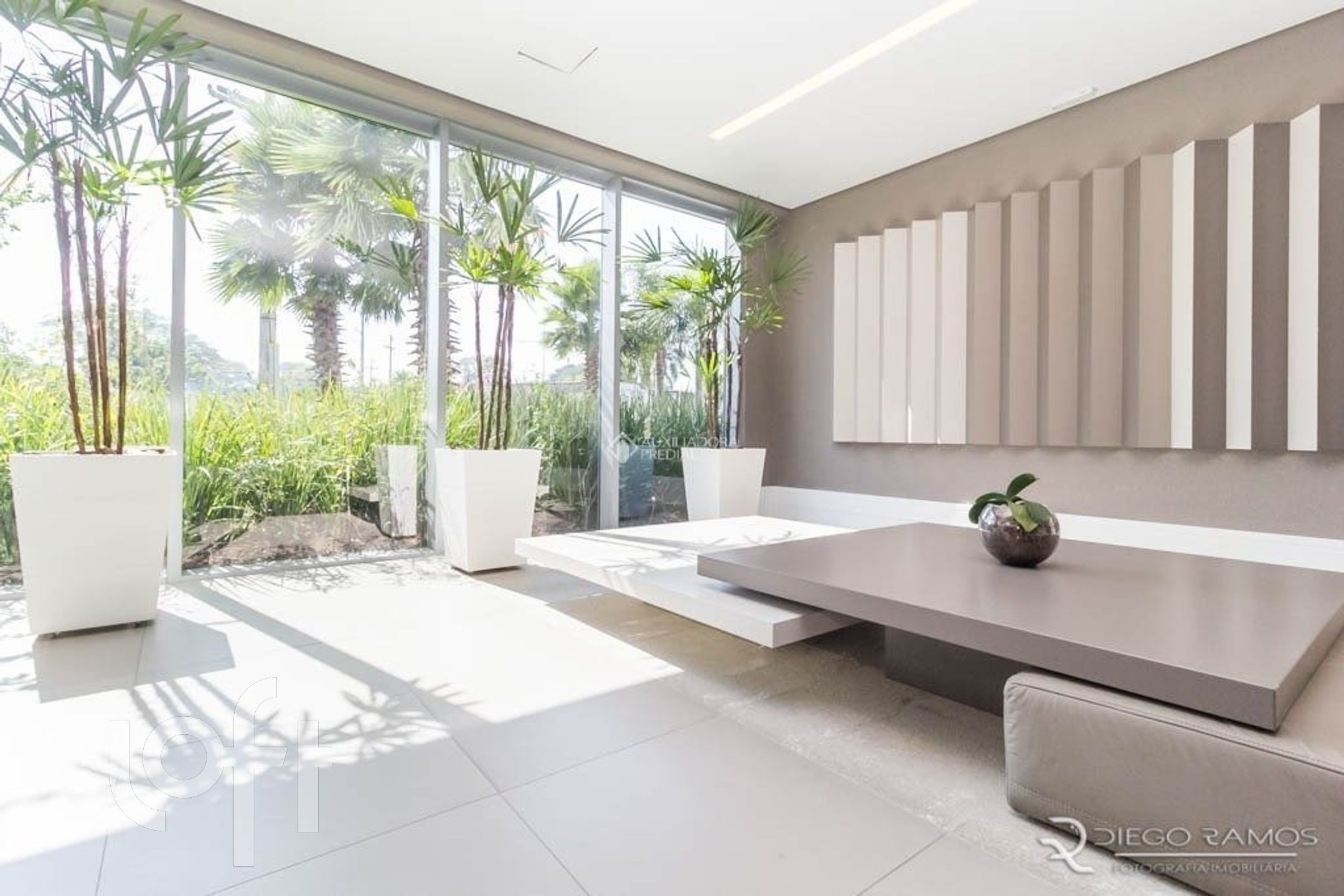 Imagem da propriedade 32