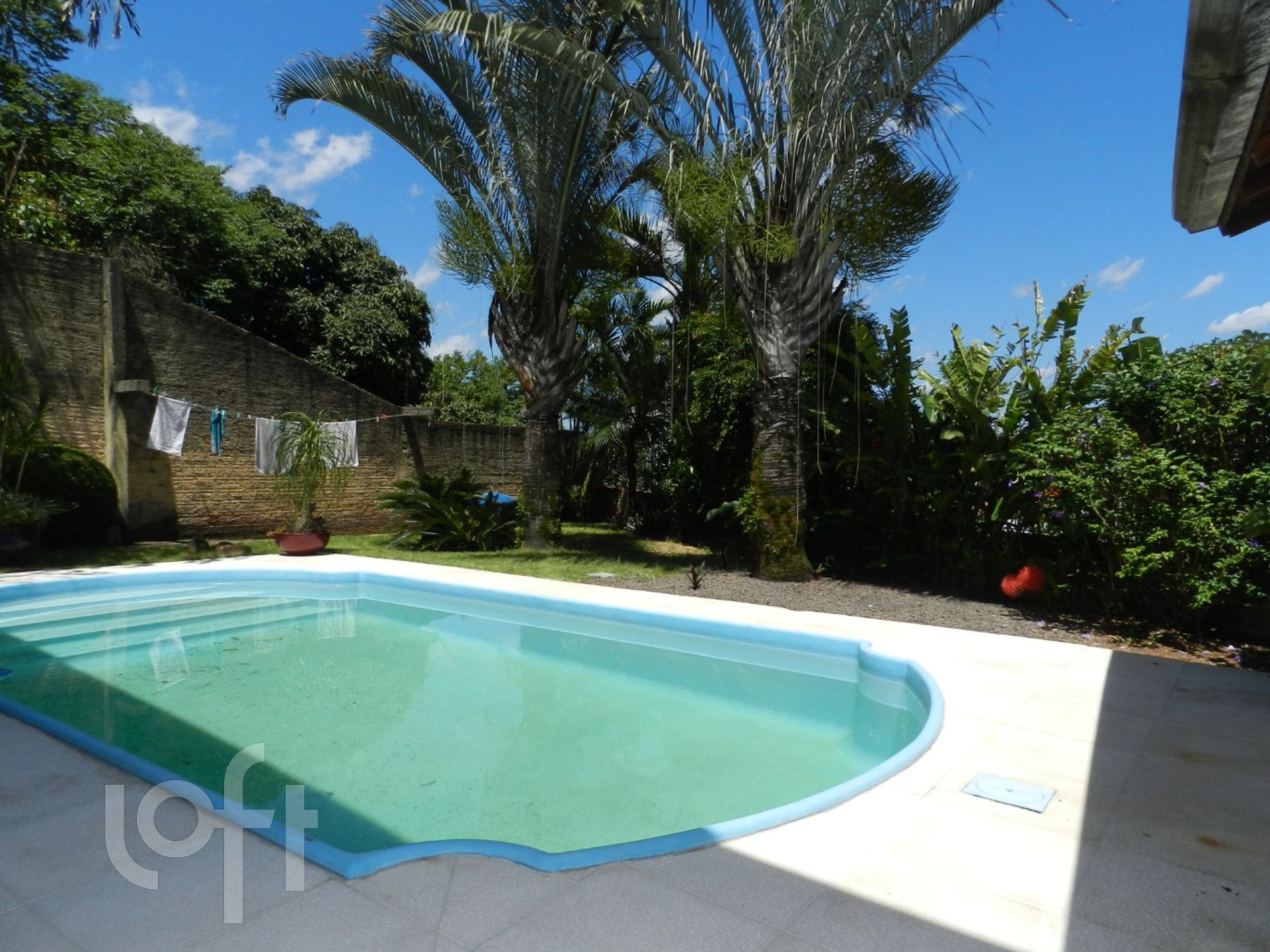 Imagem da propriedade 39